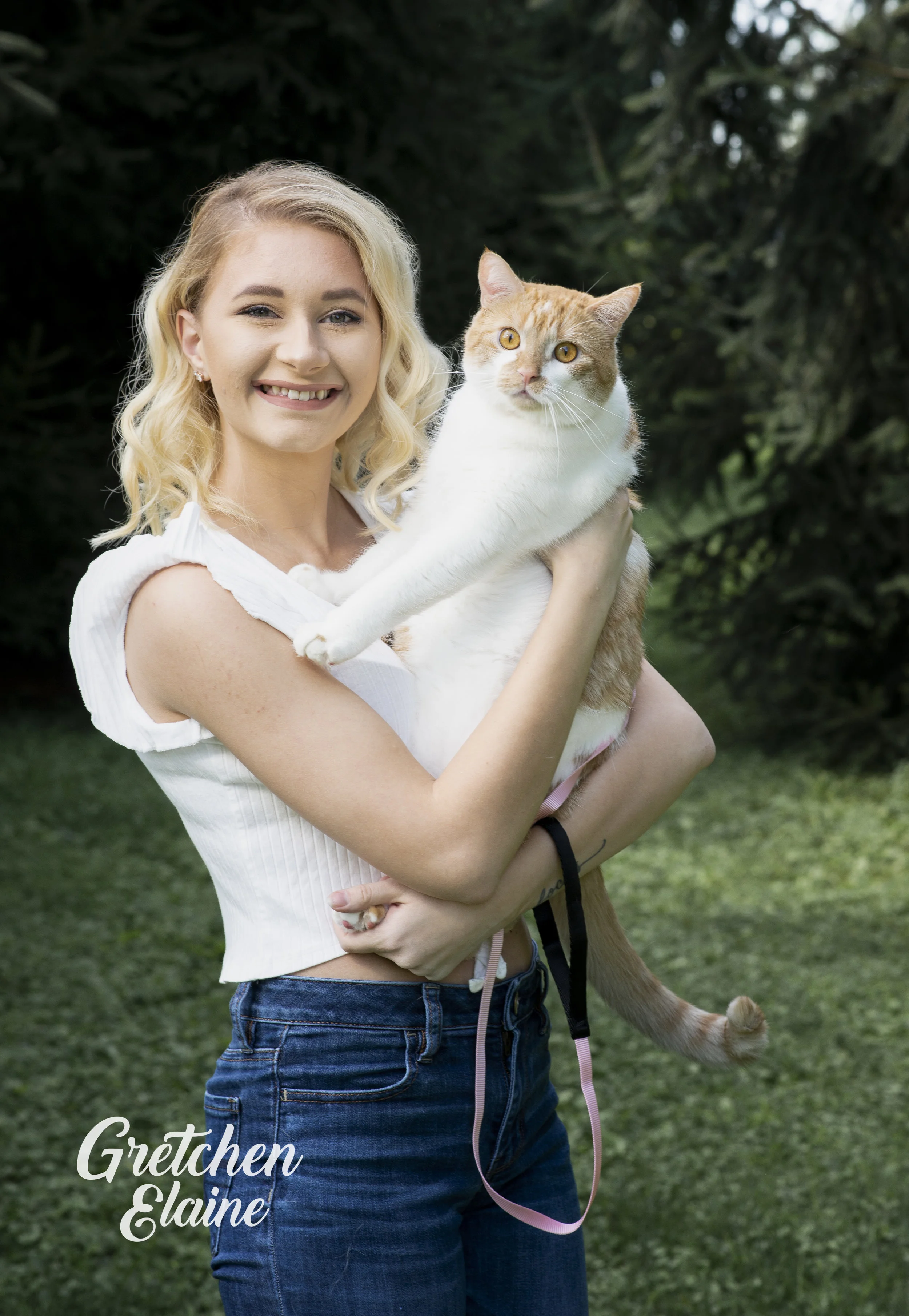 "You Gotta Be Kitten Me!" | Gretchen Elaine Photography Pet Portraits