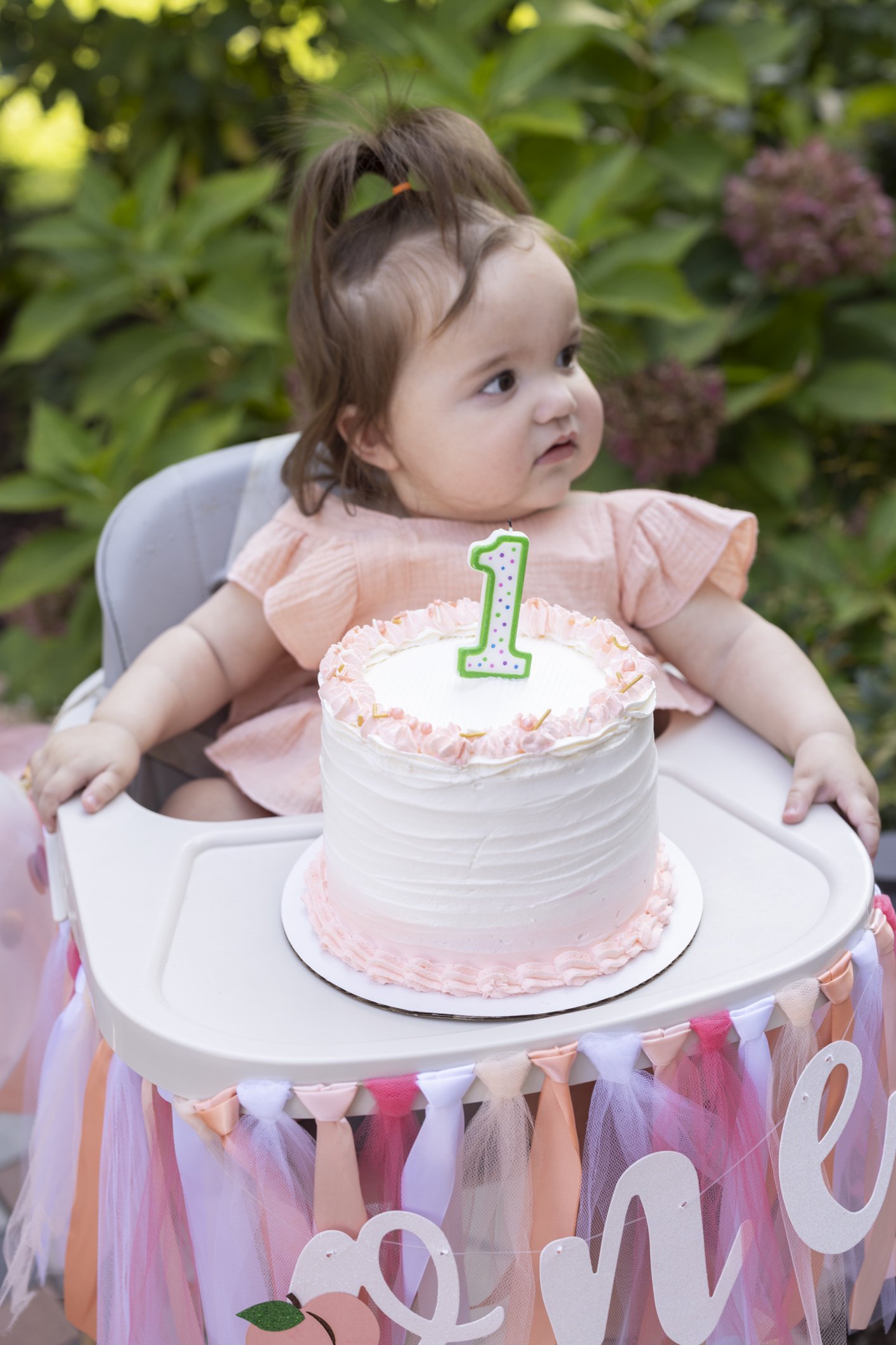 Nadia1stBirthday-199.JPG