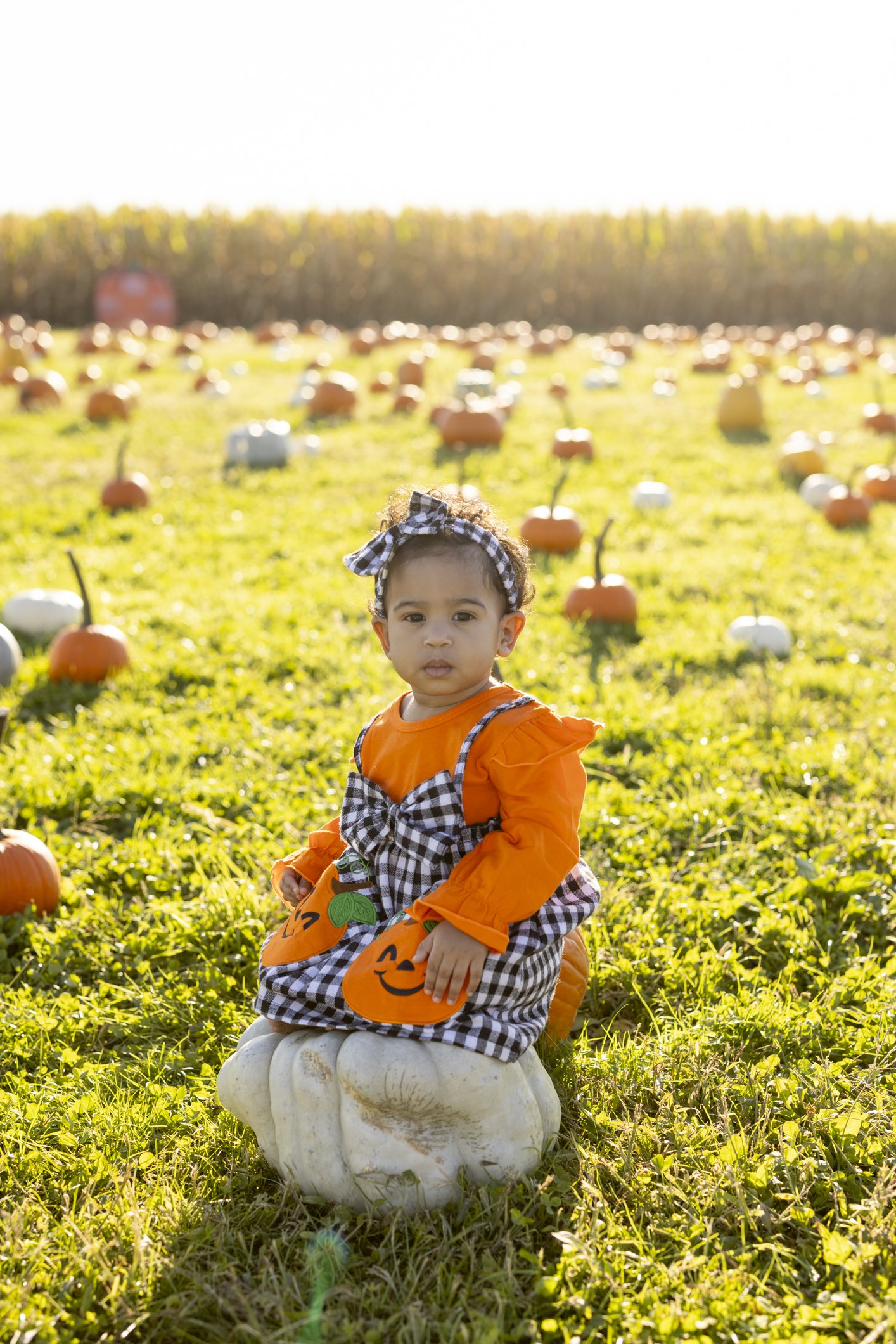 Jarelys | Gretchen Elaine Photography 1 Year Milestone