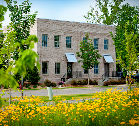 rowhouse-with-flowers-v.png