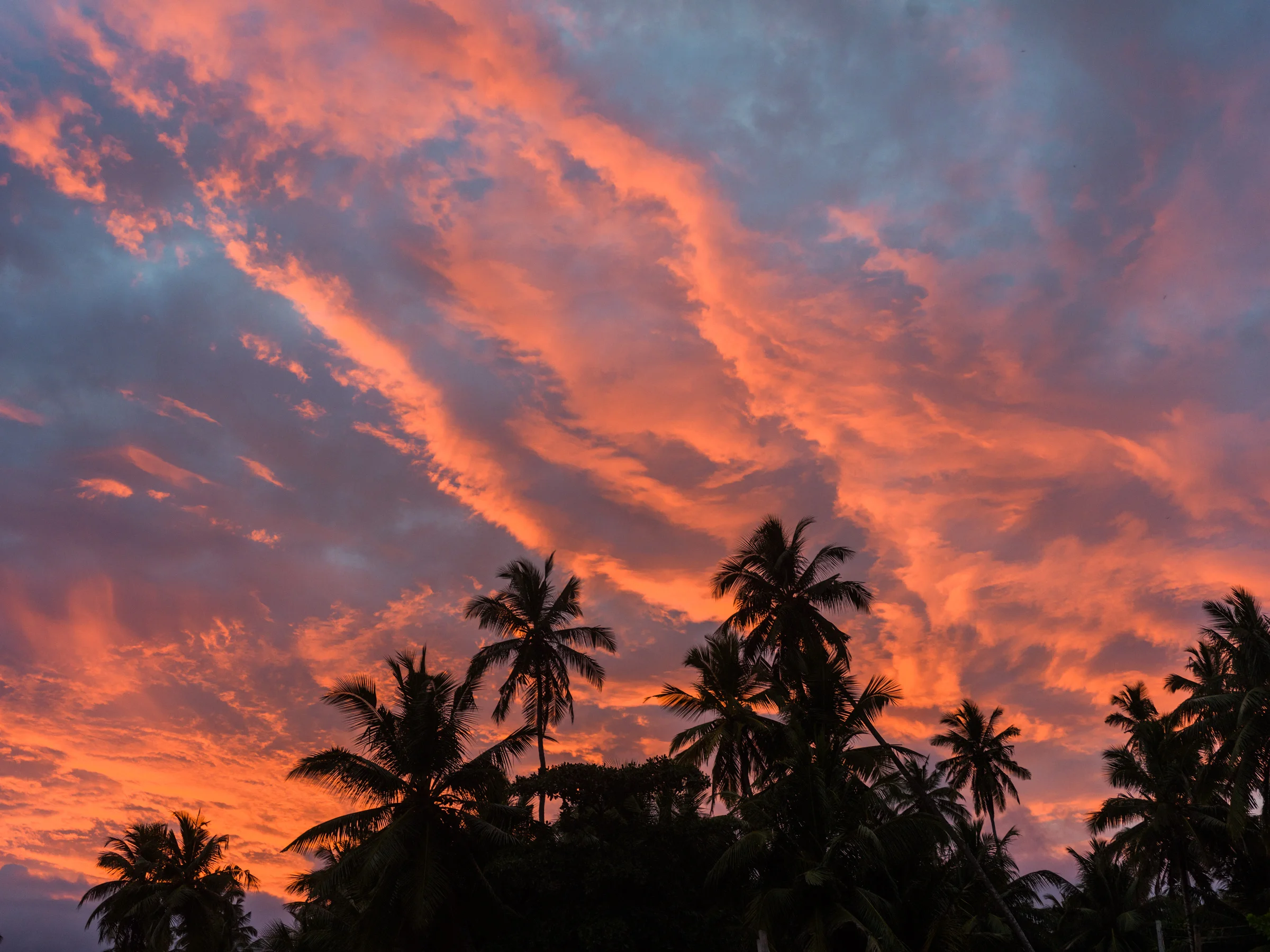 15-01-2019_srilanka_0265.jpg
