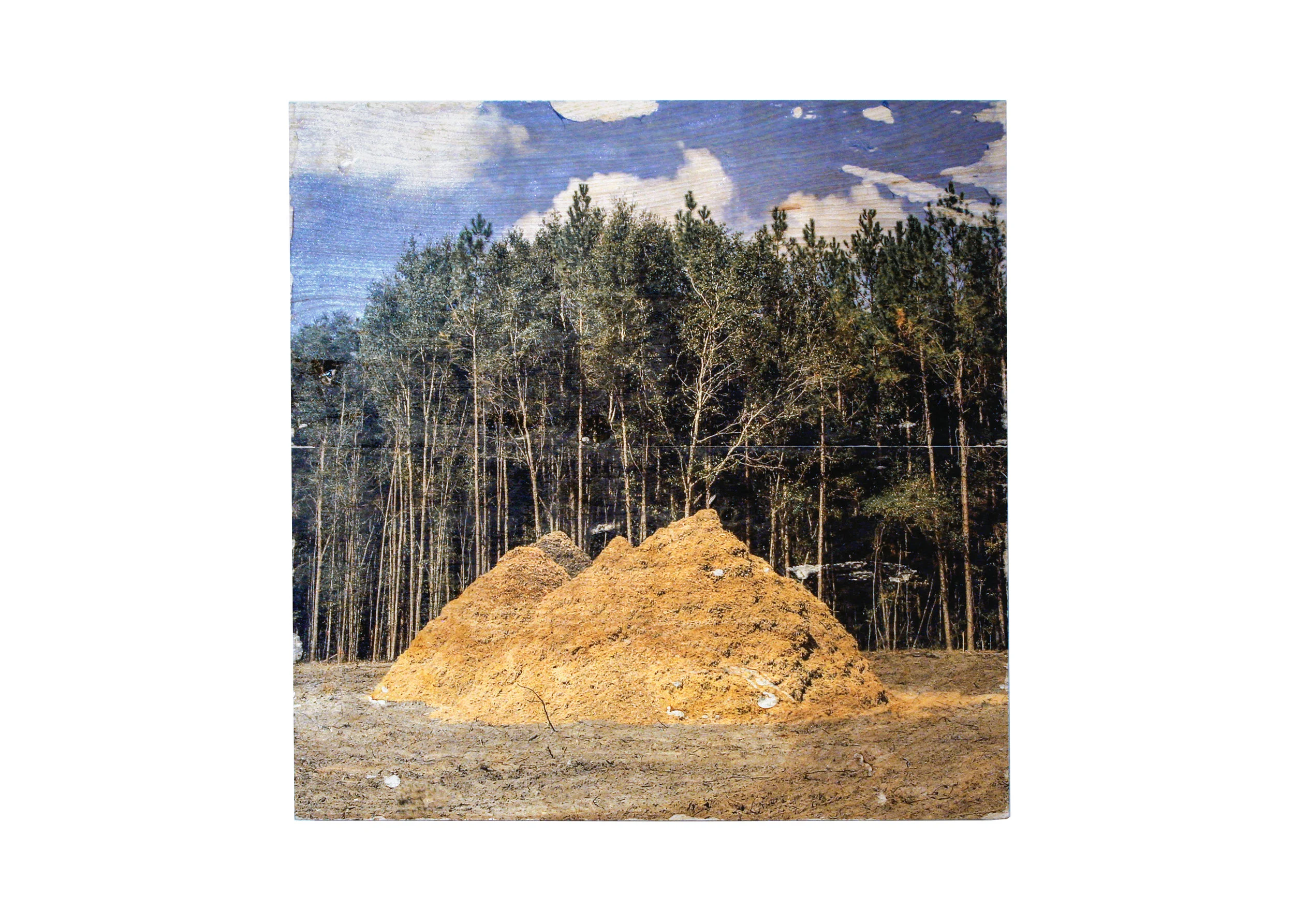 Ruins in Reverse 1 Digital Inkjet Transfer on Plywood 2' x 2' 2015