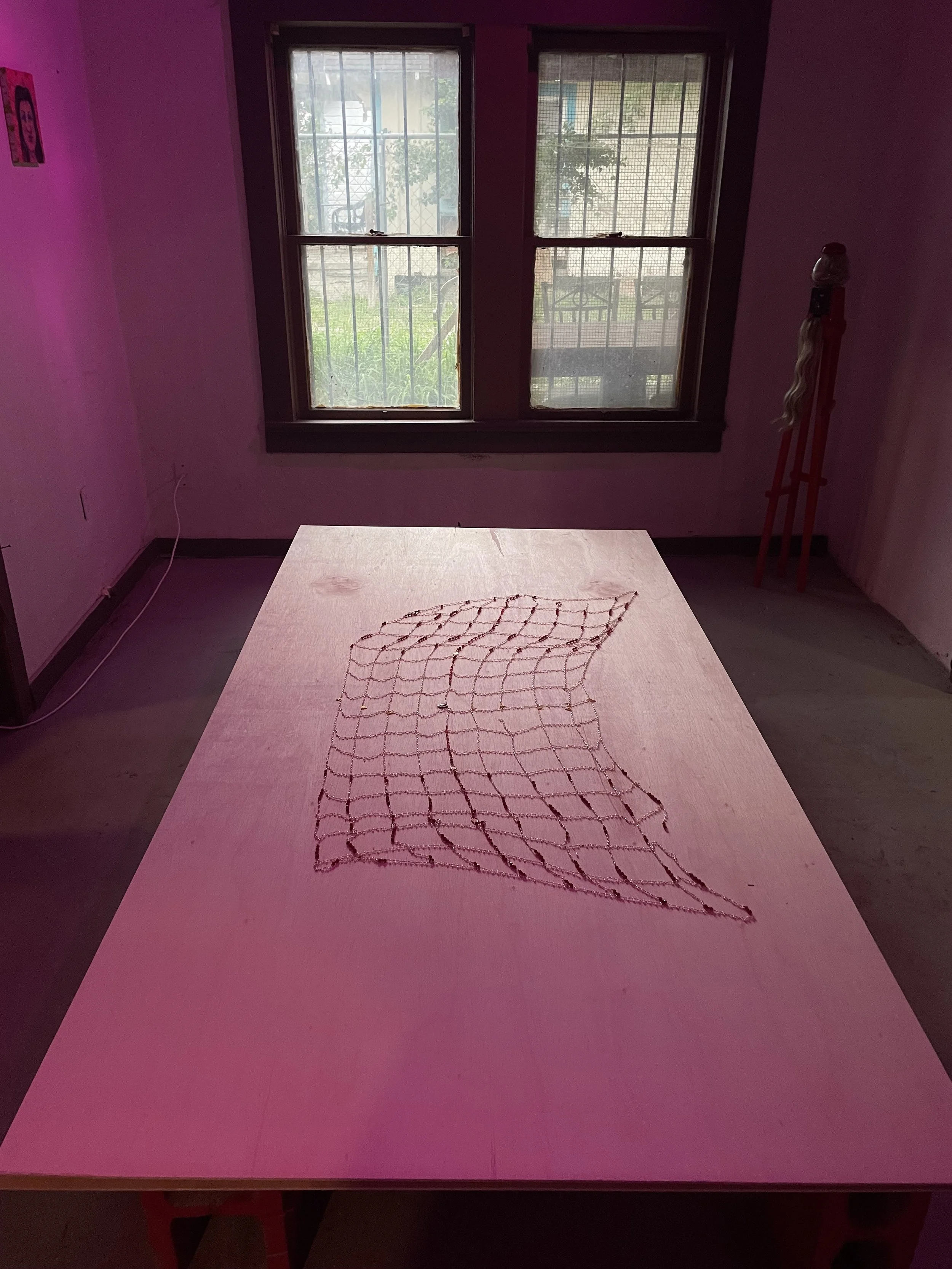 Sue Montoya Safety Net Iteration I.jpeg