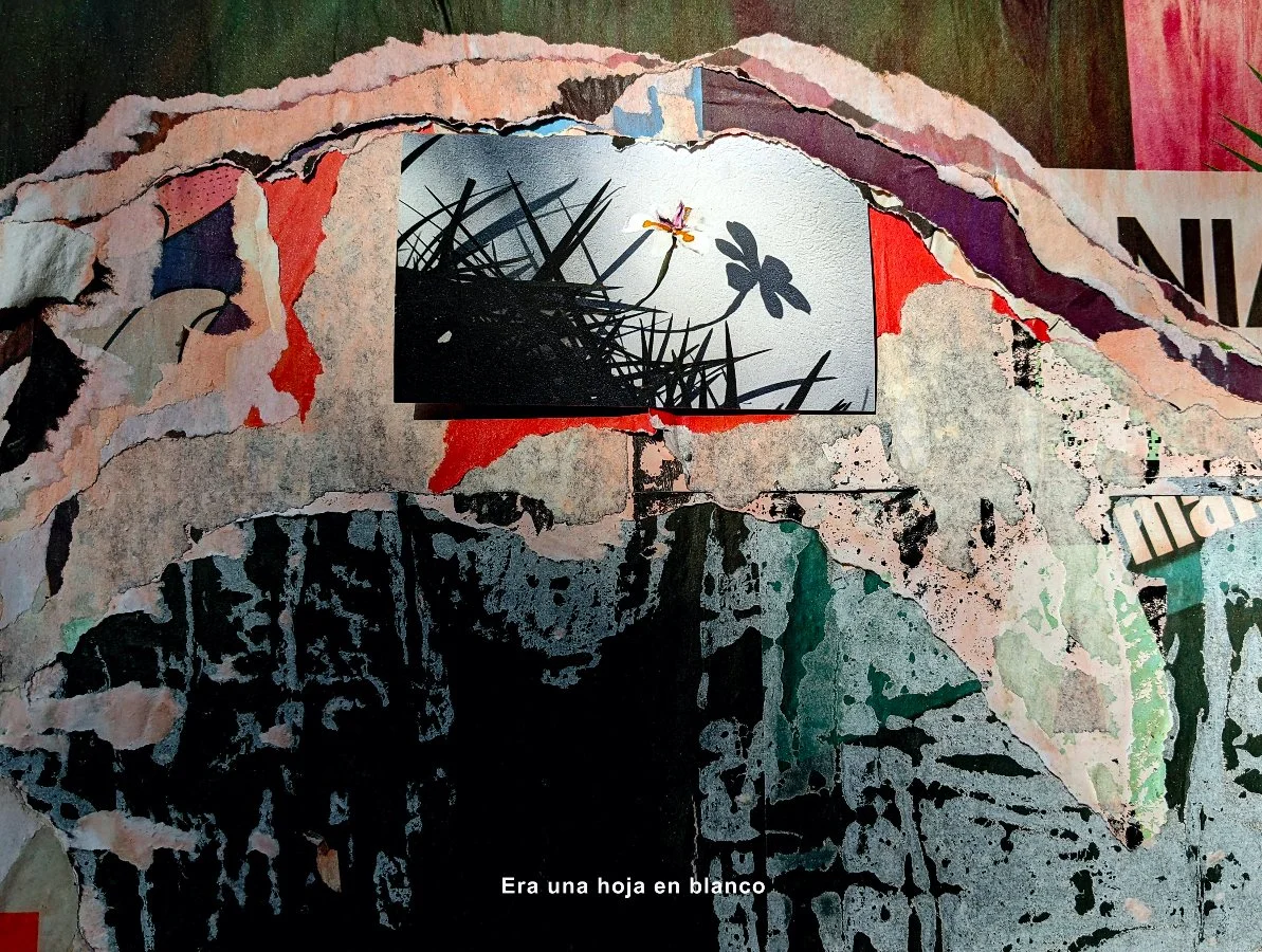 In Between Sentiments September 2024 - February 2, 2025 “Sue Montoya documents the landscapes she moves through, layering memories and sentiments and pairing each with a song, which becomes an ongoing love letter to places left behind, people lo