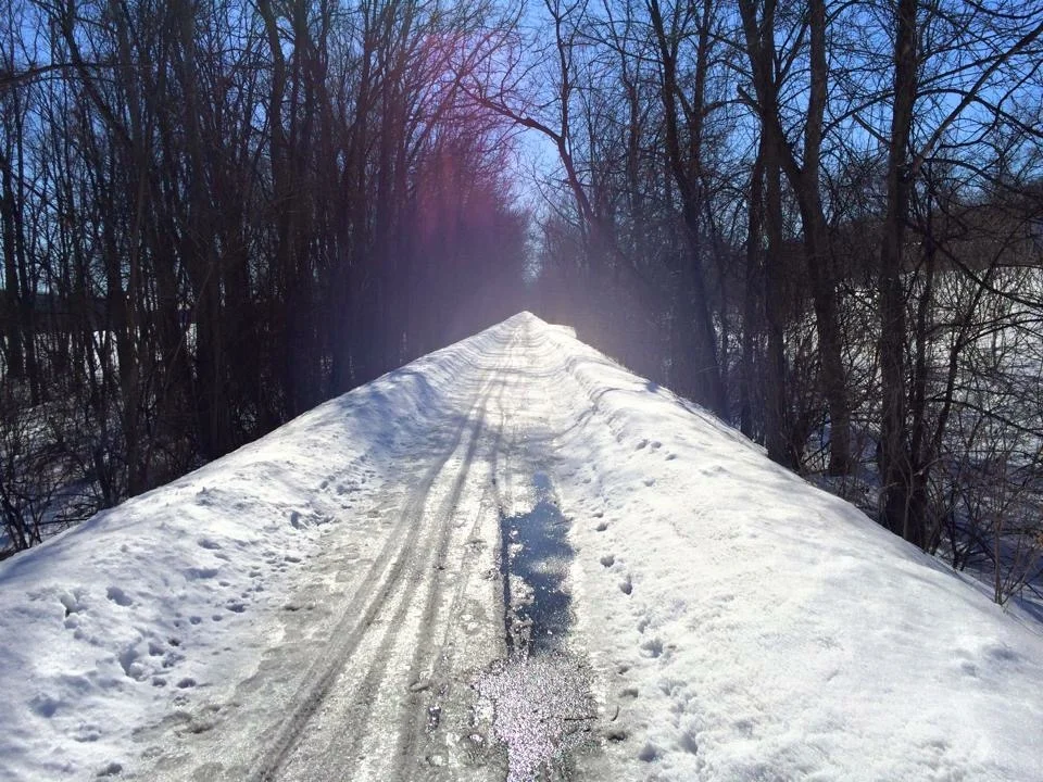 The White Pine Trail in January.
