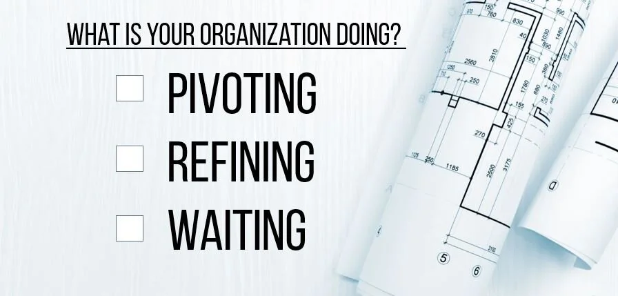 What is your Organiation Busy Doing?  Pivoting, Refining or just Waiting?  