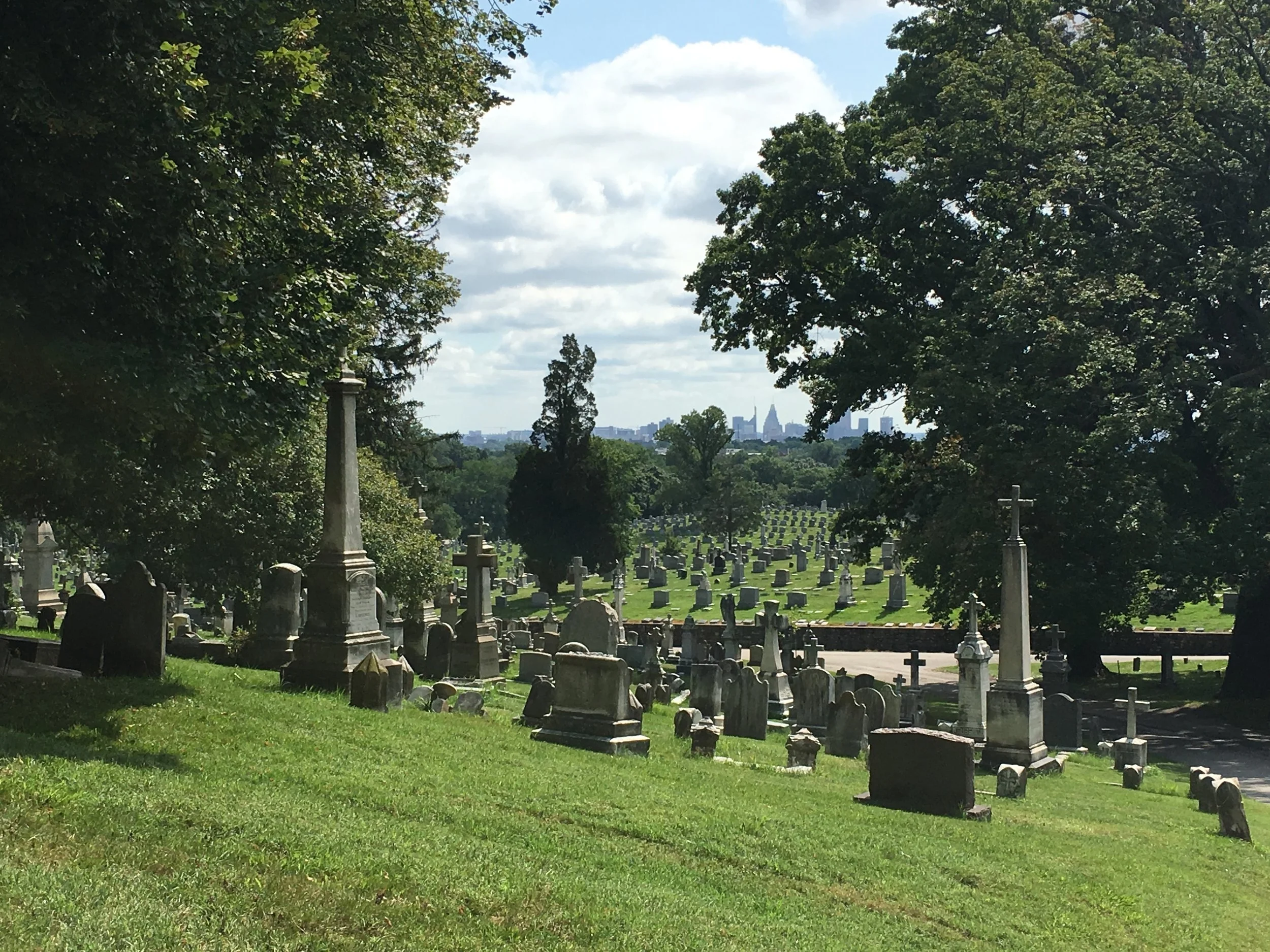 2016-08-03 10.42.41.jpg