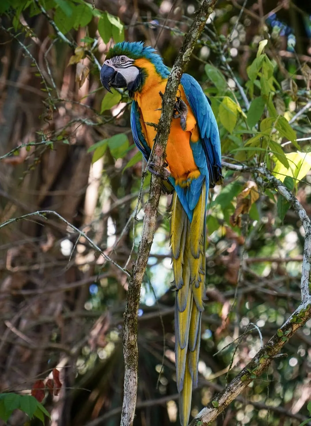 Wildlife Weekly 12.3.25