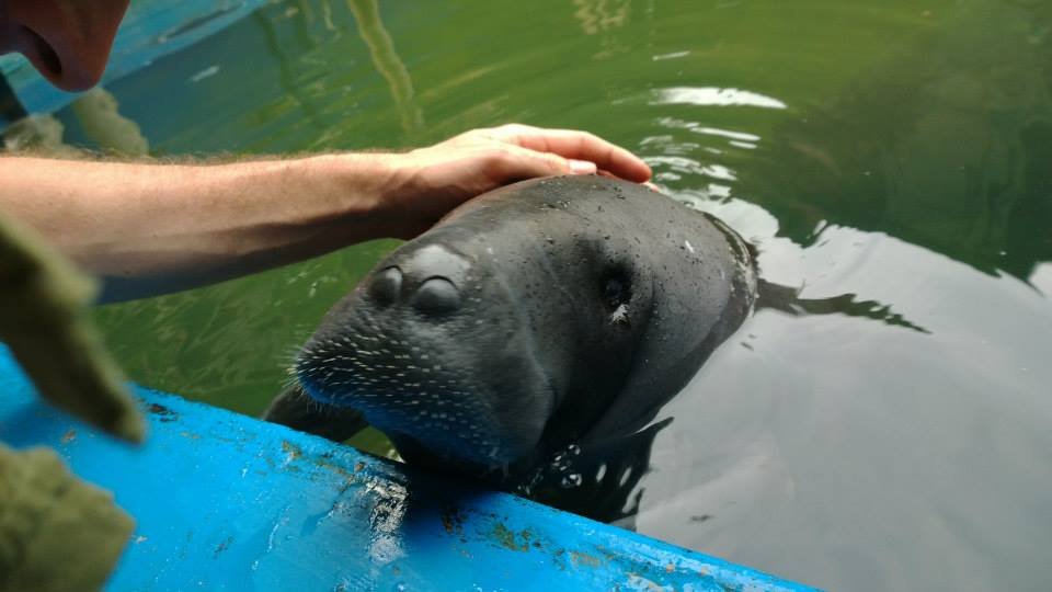 Wildlife Weekly 12/1/25