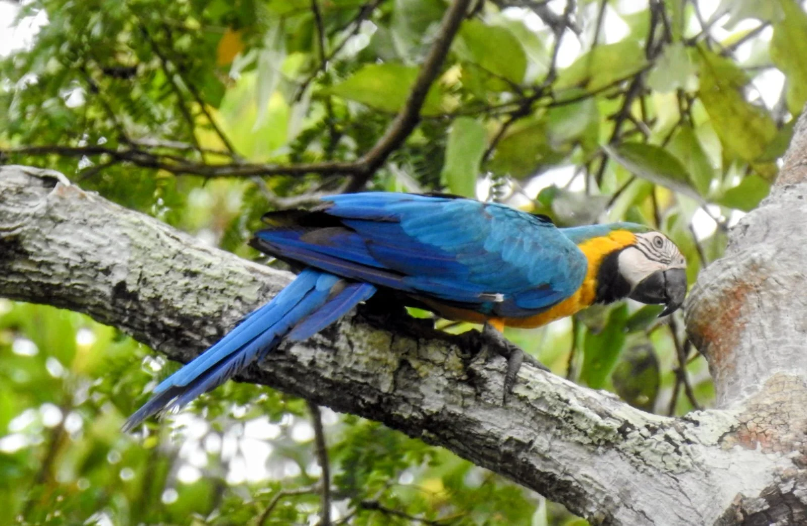 WhatsApp Image 2026-02-02 at 10.38.35 AM (1).jpeg