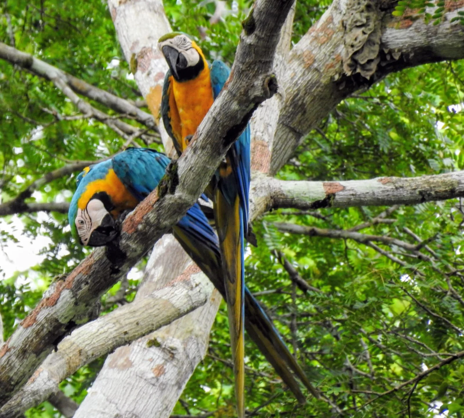 WhatsApp Image 2026-02-02 at 10.38.36 AM.jpeg