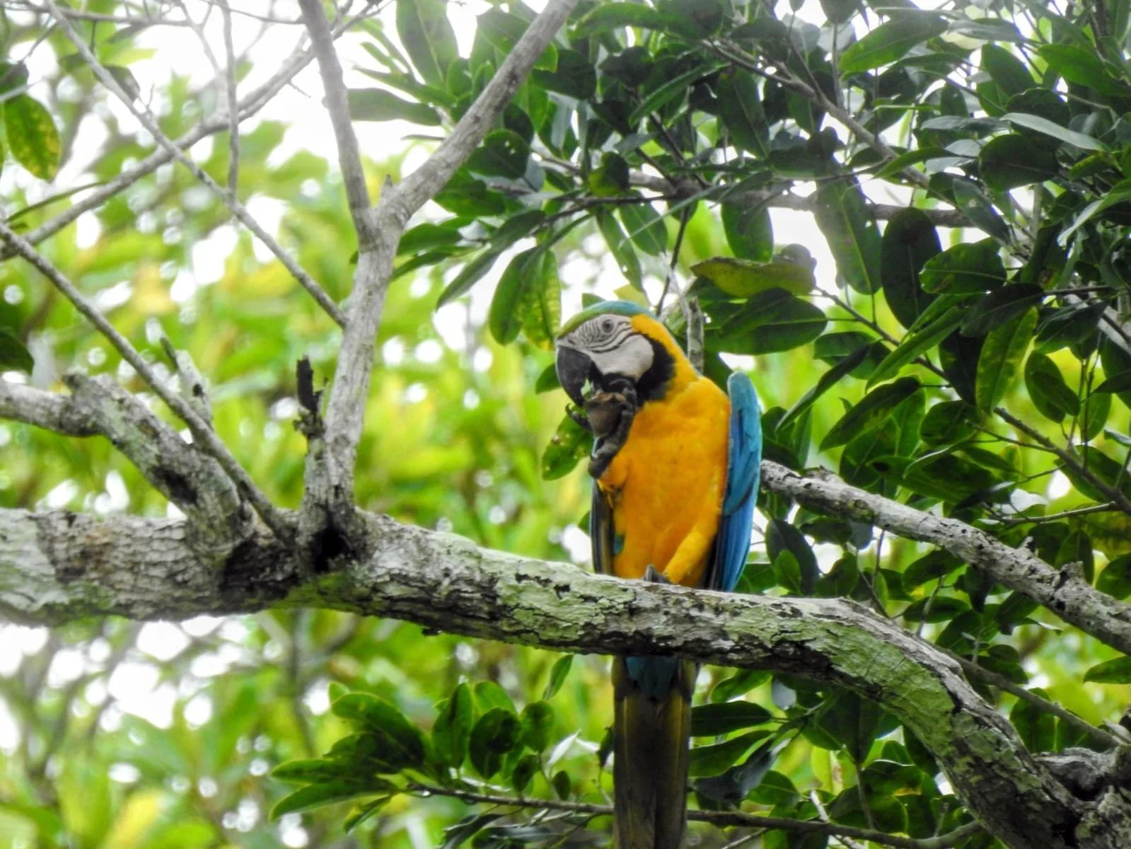 WhatsApp Image 2026-02-02 at 10.38.33 AM.jpeg