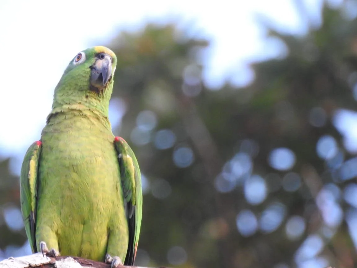 WhatsApp Image 2026-02-23 at 6.31.49 AM.jpeg