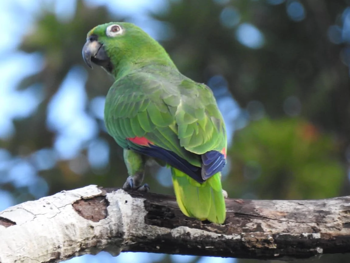 WhatsApp Image 2026-02-23 at 6.31.49 AM (1).jpeg