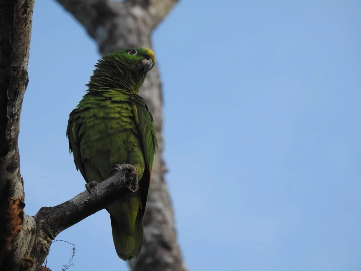 WhatsApp Image 2026-02-23 at 6.31.51 AM.jpeg