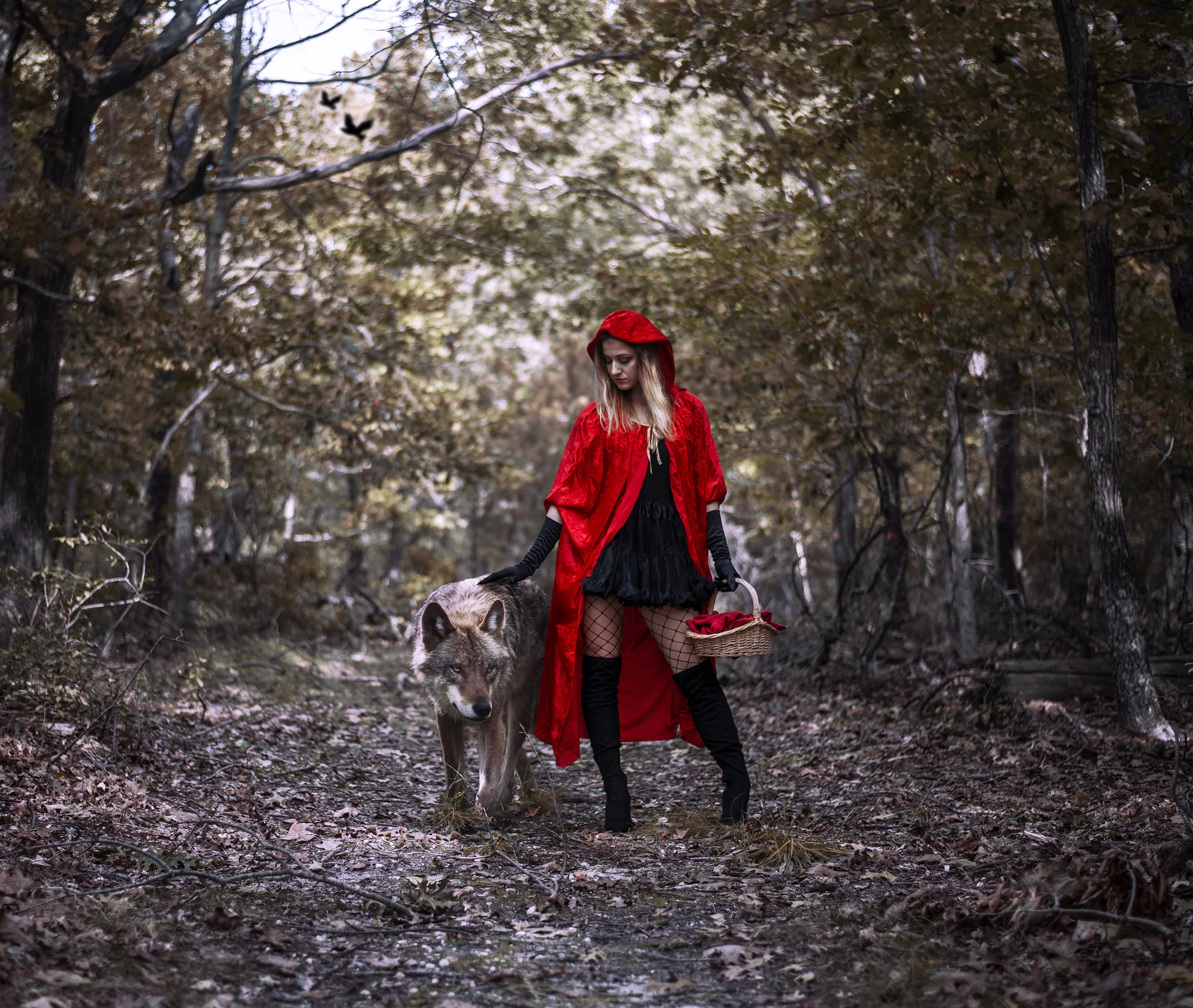 Red riding Hood 1flat.jpg
