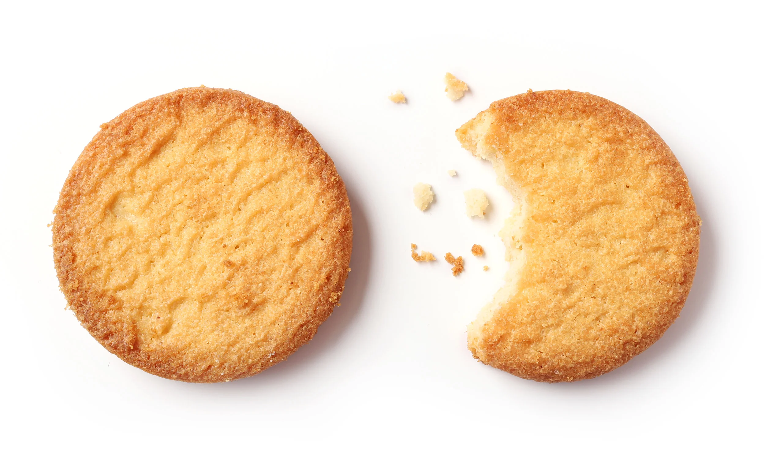 BISCUIT.jpg