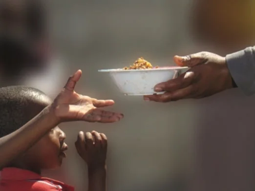 Spring 2013 Newsletter