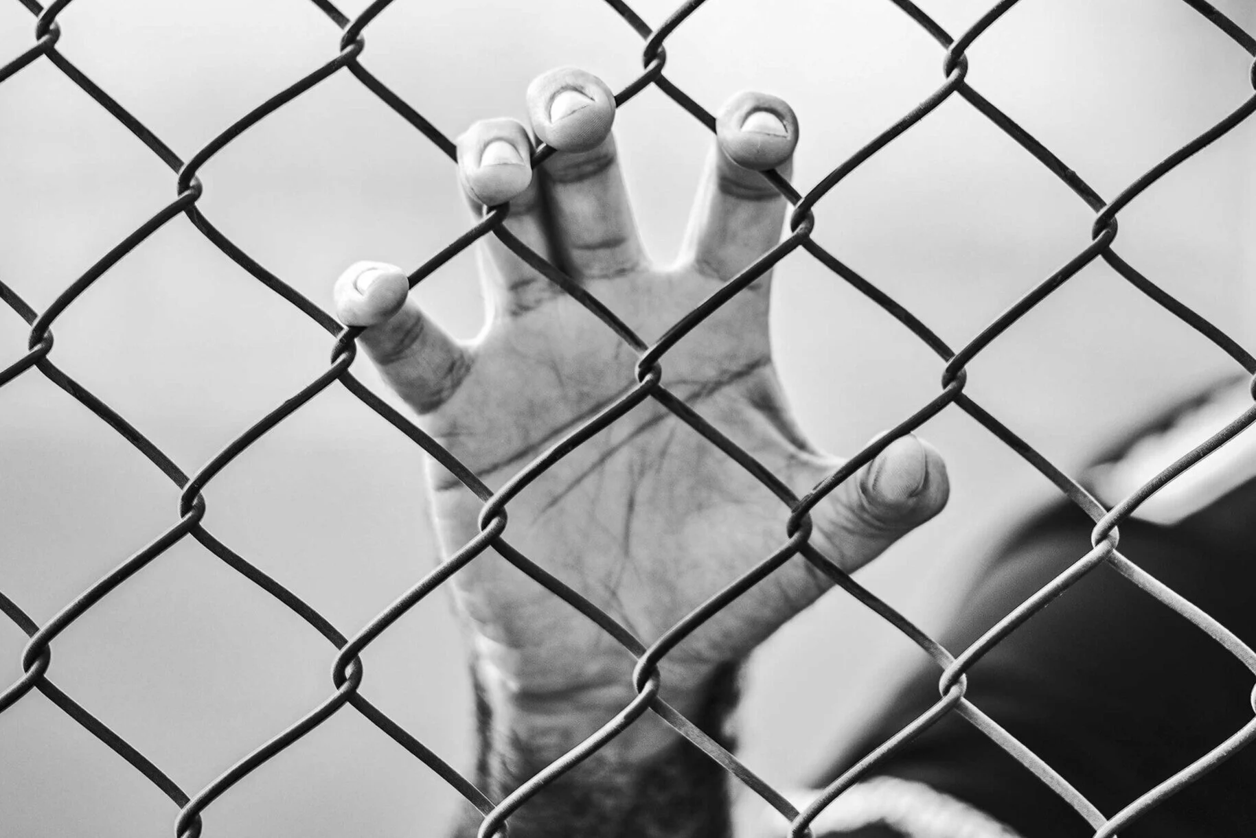 Thousands of prisoners freed