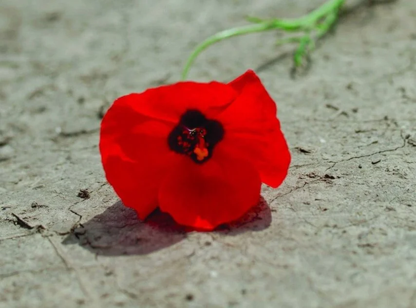 The tradition of two minutes silence originated in South Africa