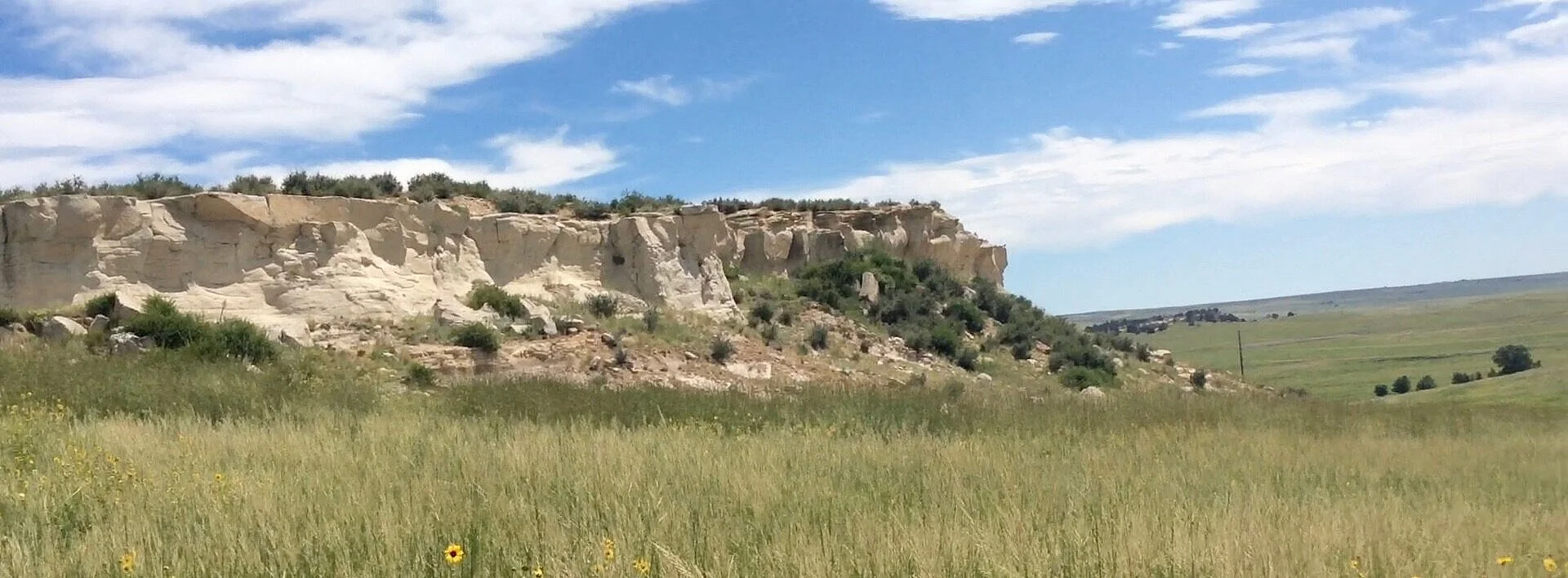 Bluff+for+Clubhouse.jpg