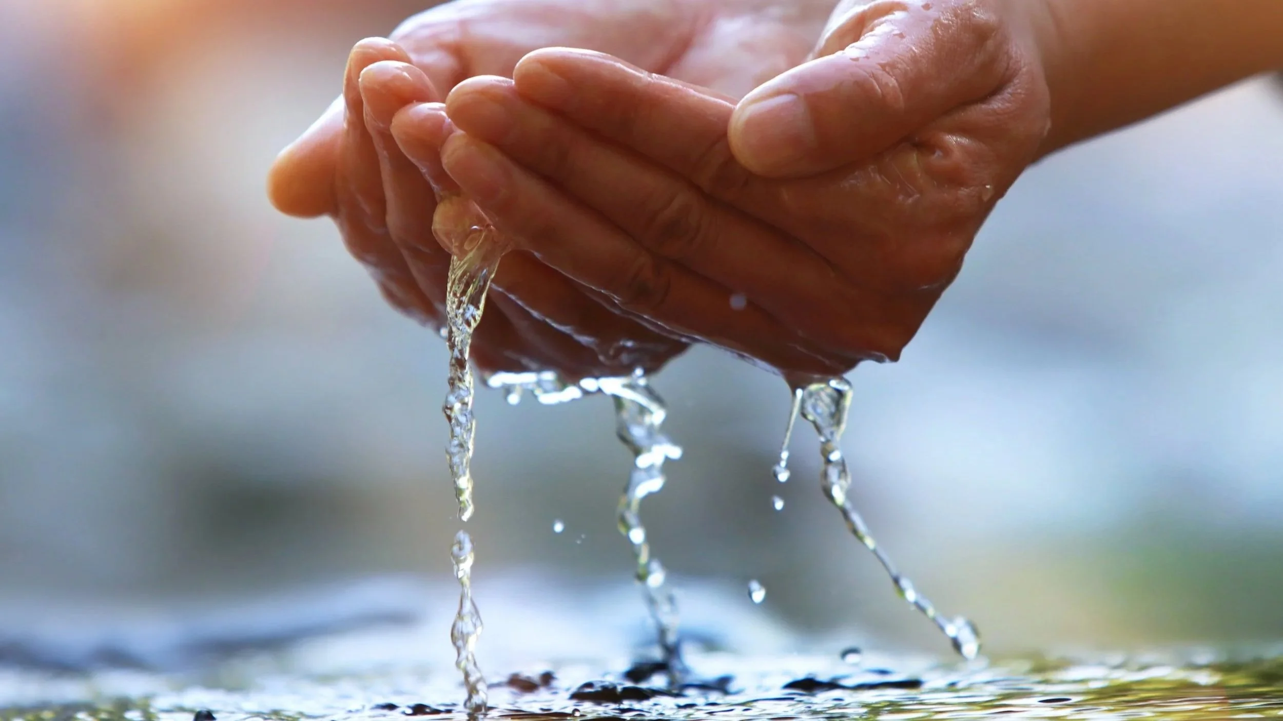 homepage hands_2741771761_shutterstock.jpg