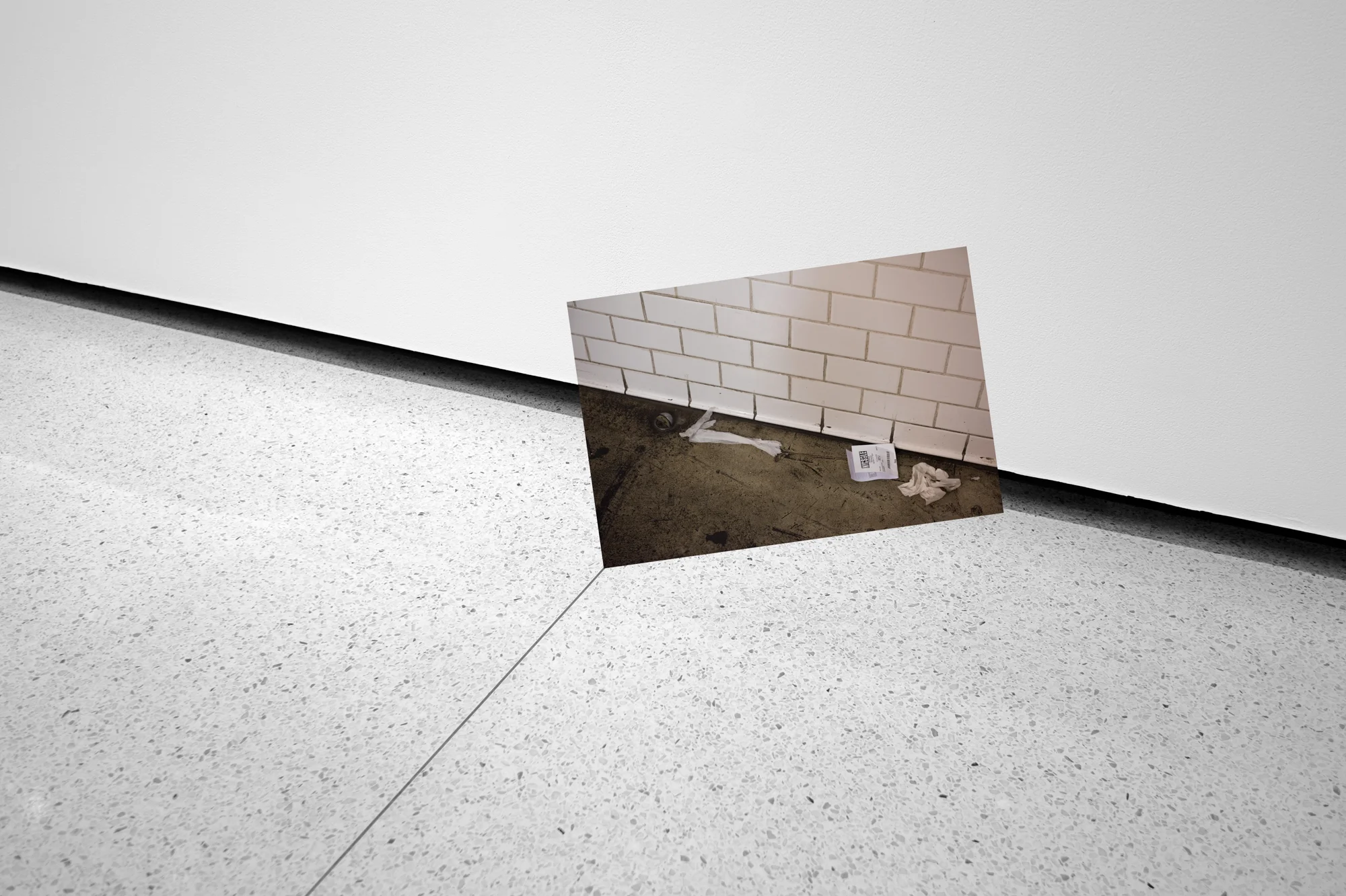 Barcena-Institutionalized-09.jpg