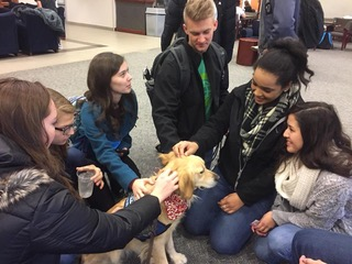 Photos by Roxanne Timan & Cheyenne Roper EC students rally around Eve, the temporary campus LCC K-9 comfort dog, for emotional support and stress relief.