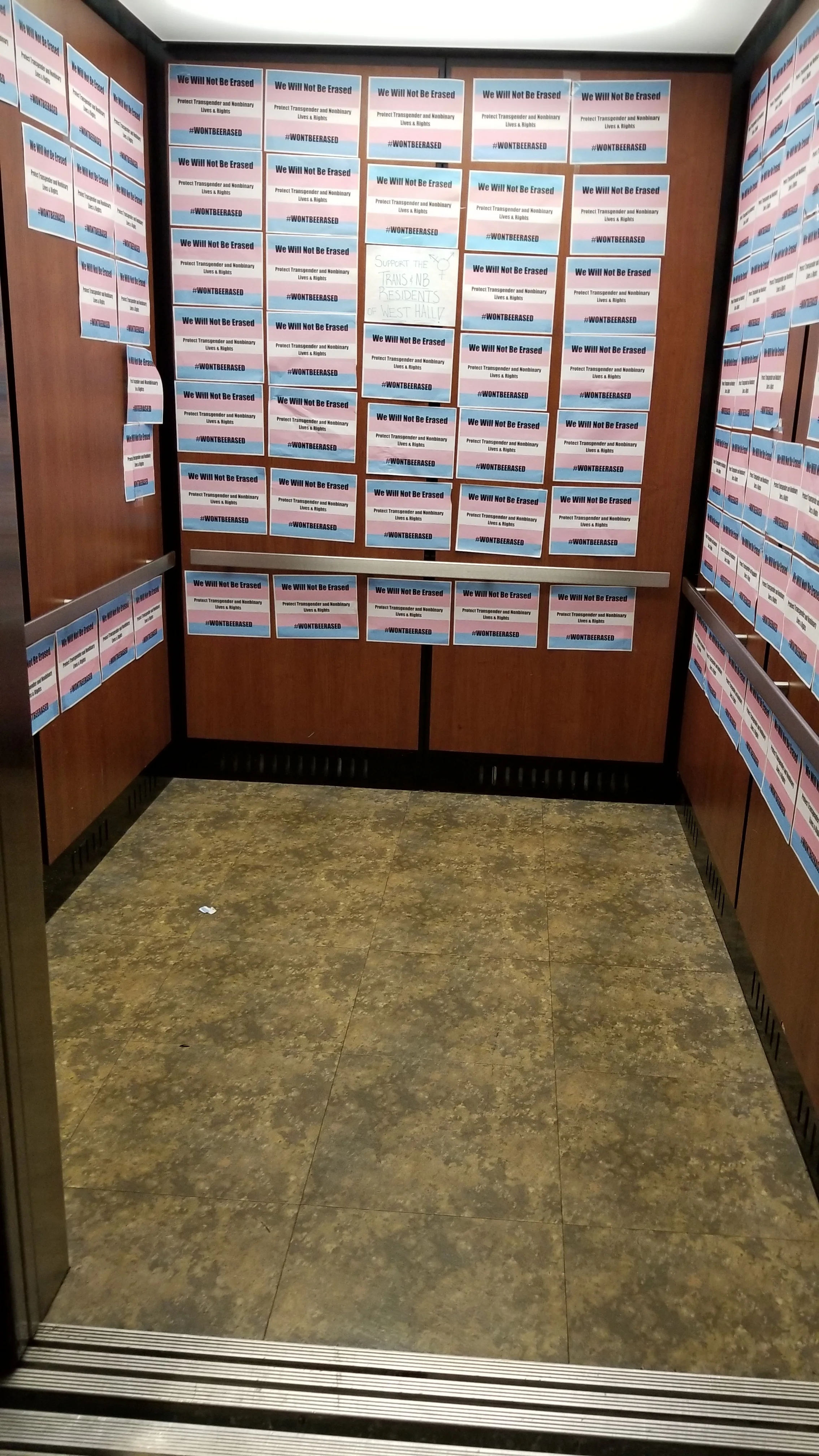 Elevator in West Hall covered with Trans support posters. Photo by Cheyenne Roper.