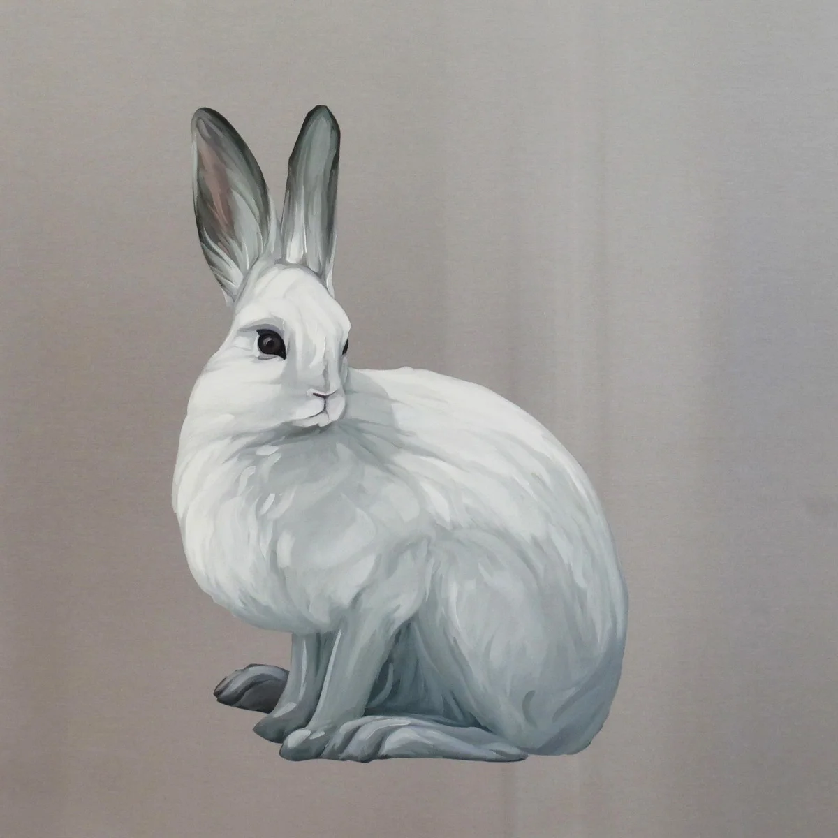 Snowshoe Hare