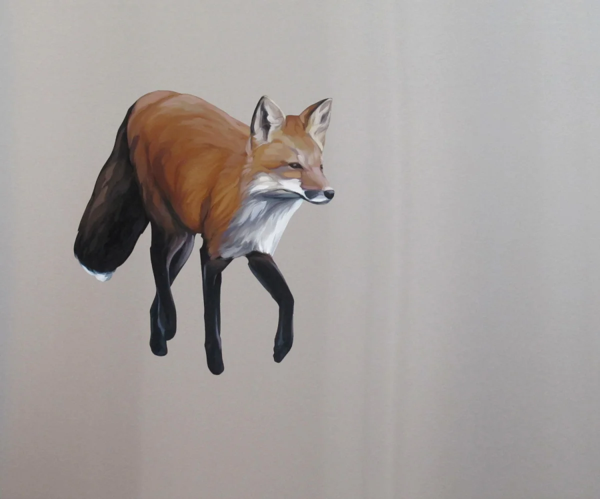 Looking (Red Fox)
