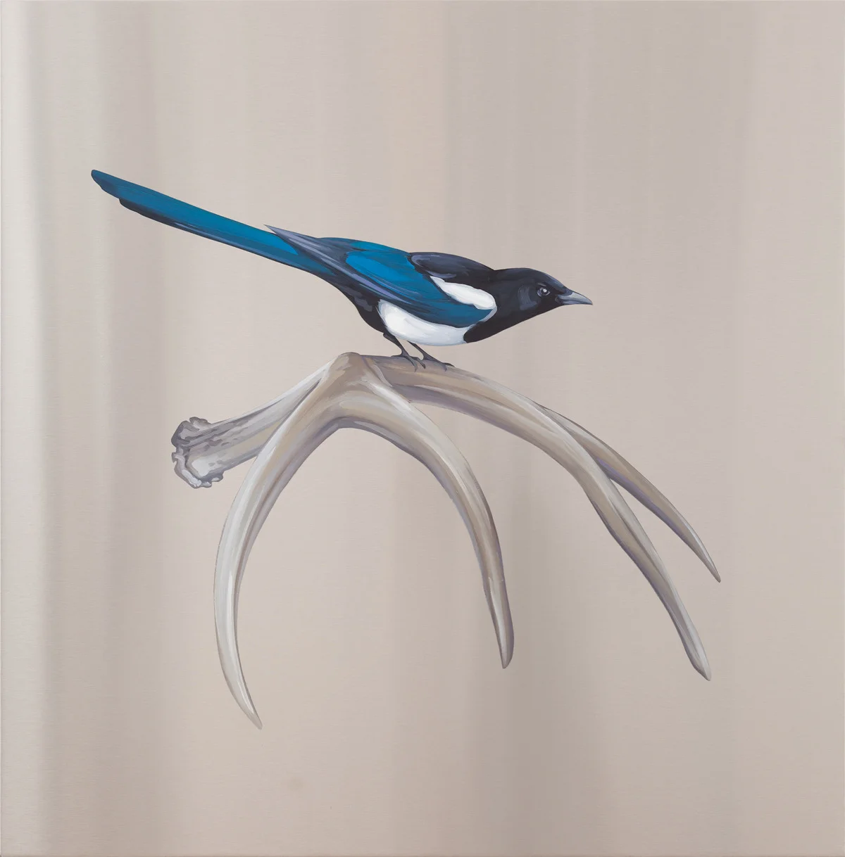 Perch