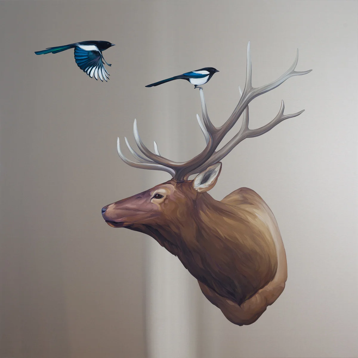 Elk with Magpies