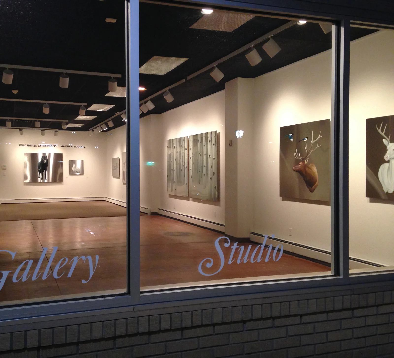 Installation view at Colorado Mesa University Gallery from the show Wilderness Extractions, 2014