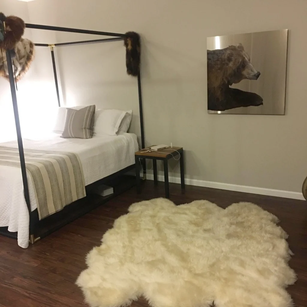 Peter the bear warms up an urban sanctuary.