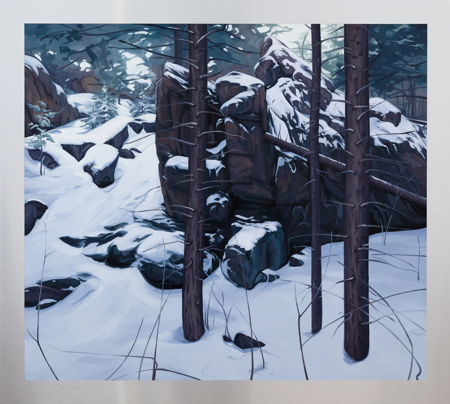 The Enchanted Forest.jpg