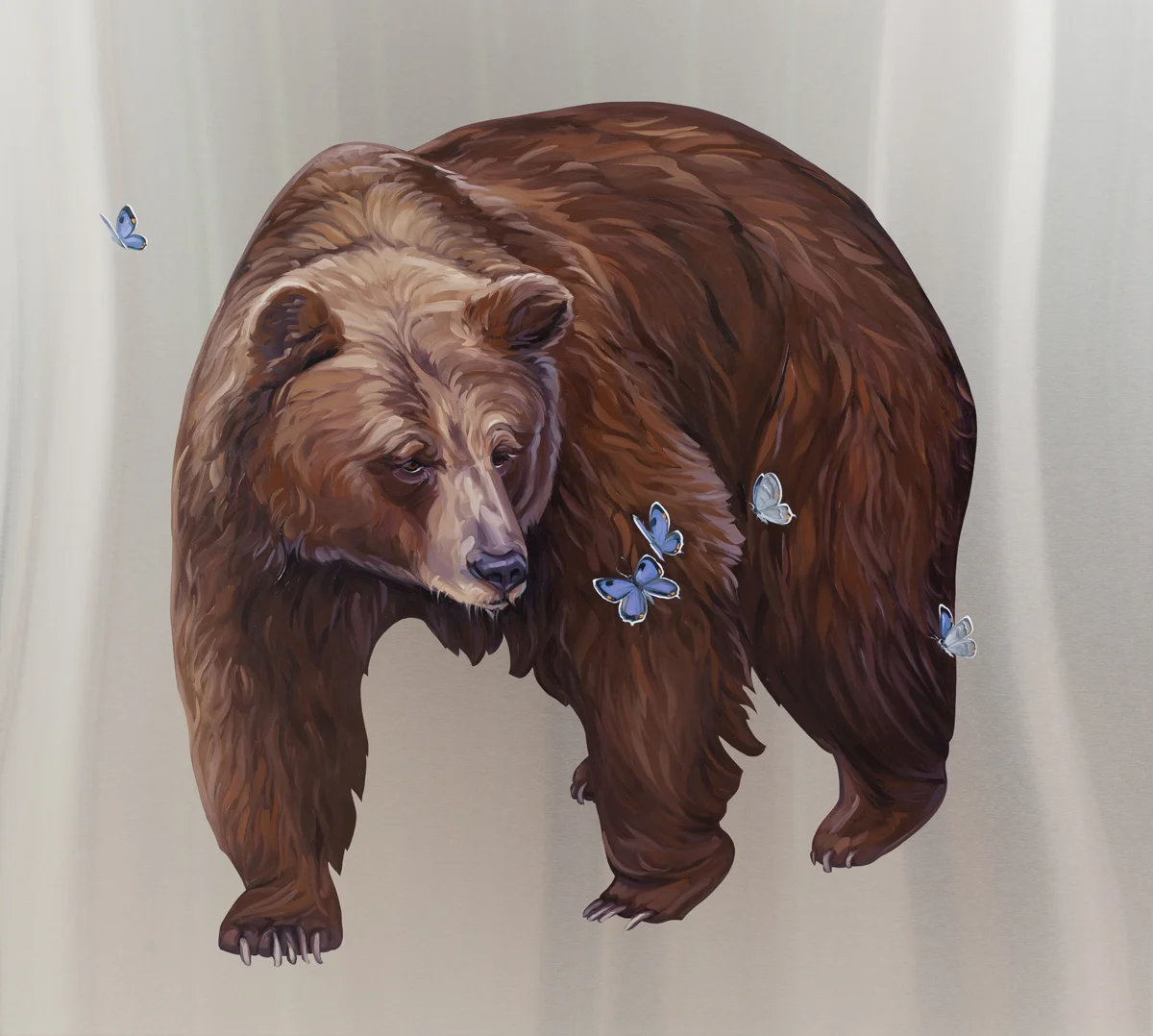 Bear Dance
