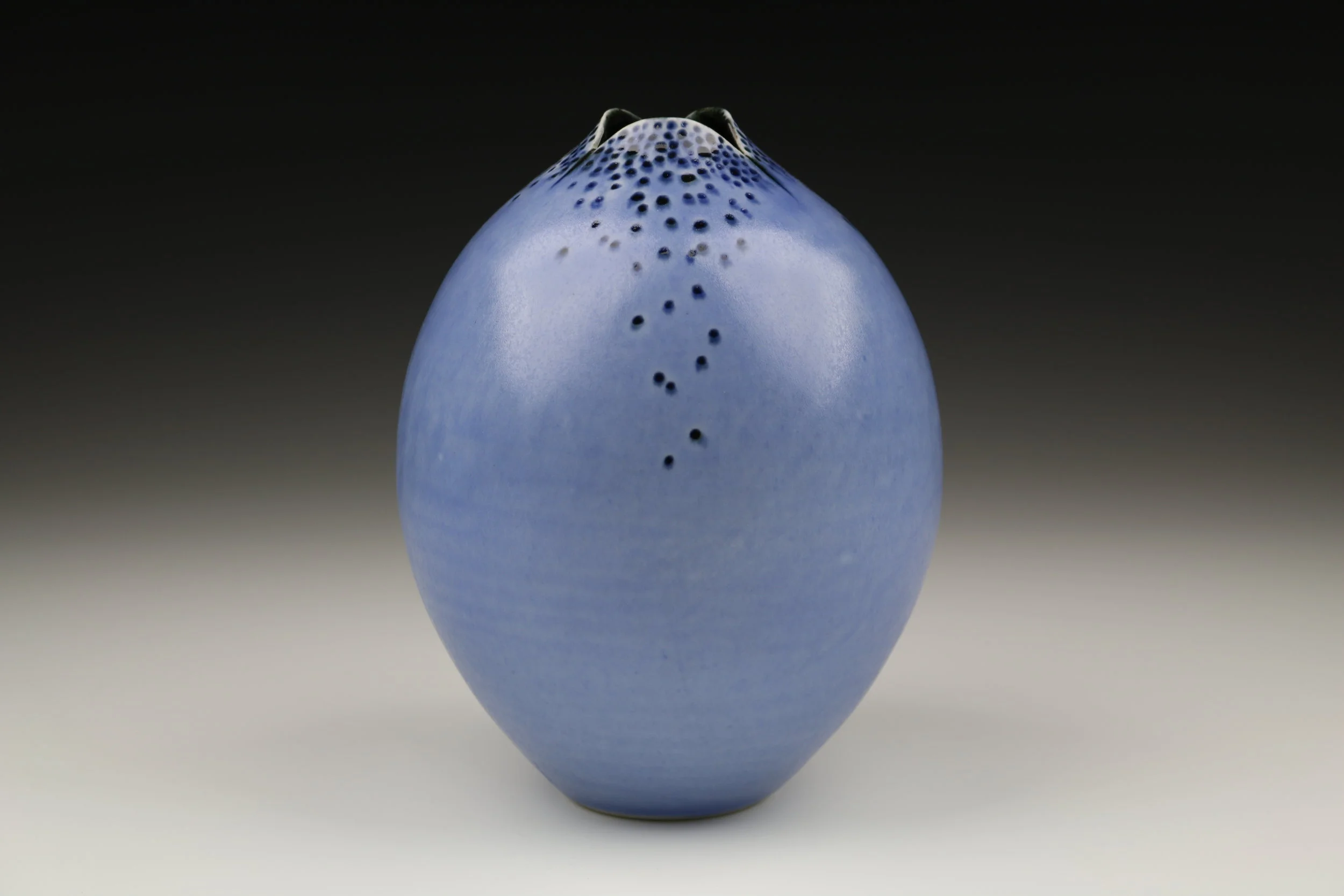 Mariposa Vessel #5