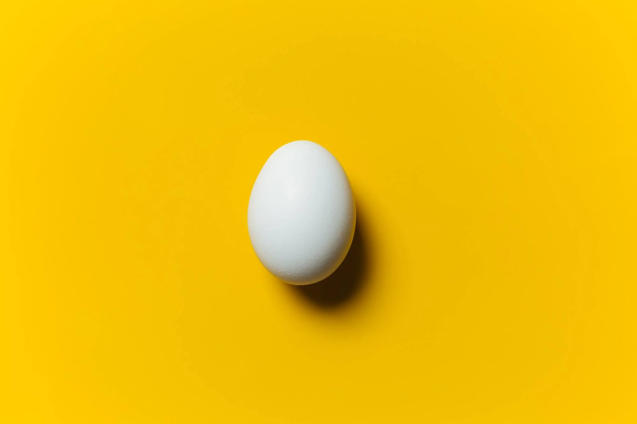 21167235_1636703456362271_4434277182242280128_o.jpg