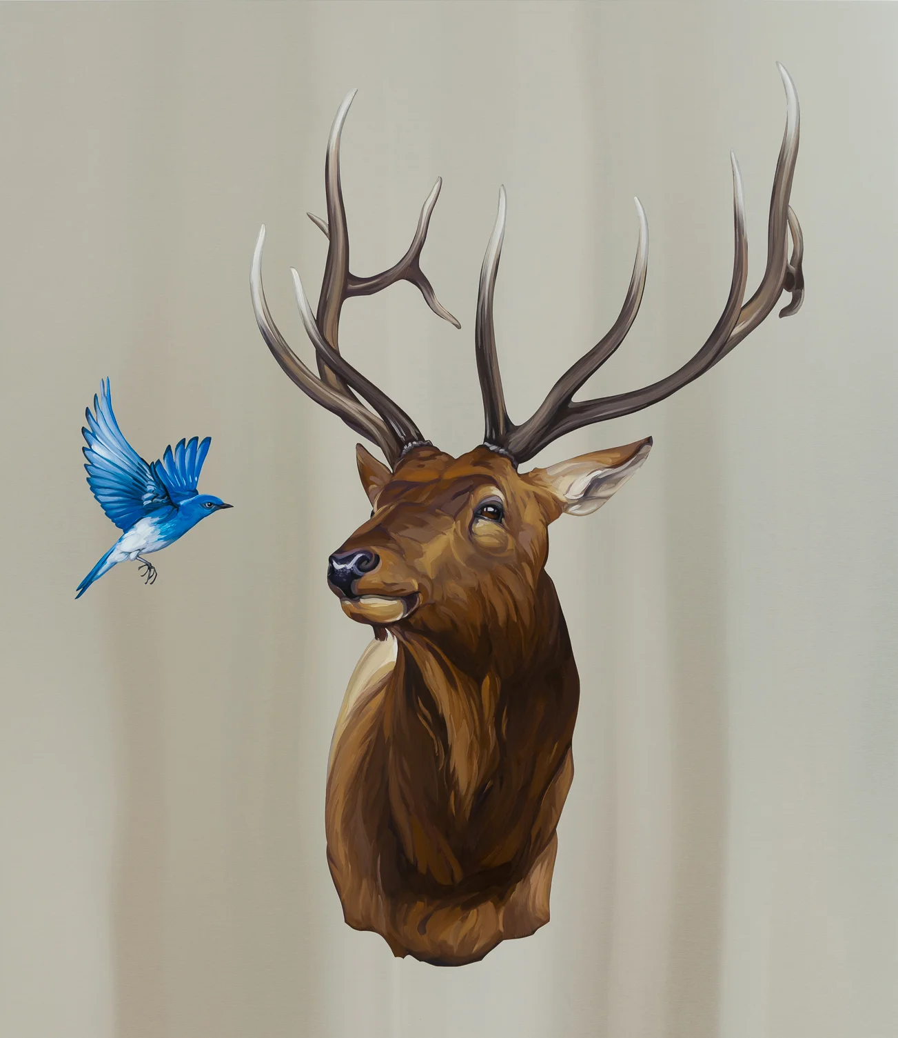 Elk with Blue Bird