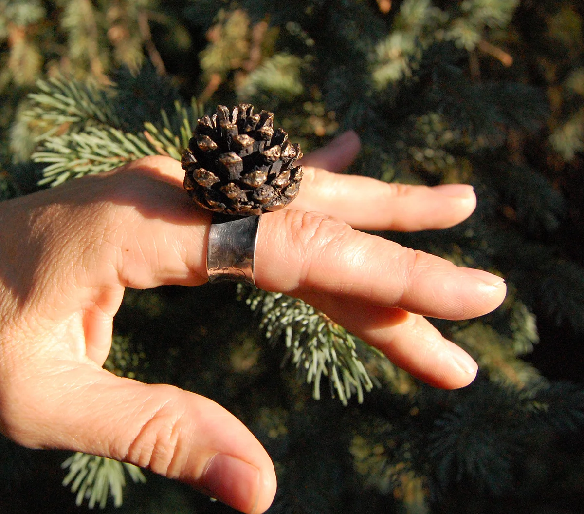 pineconering_low res.jpg