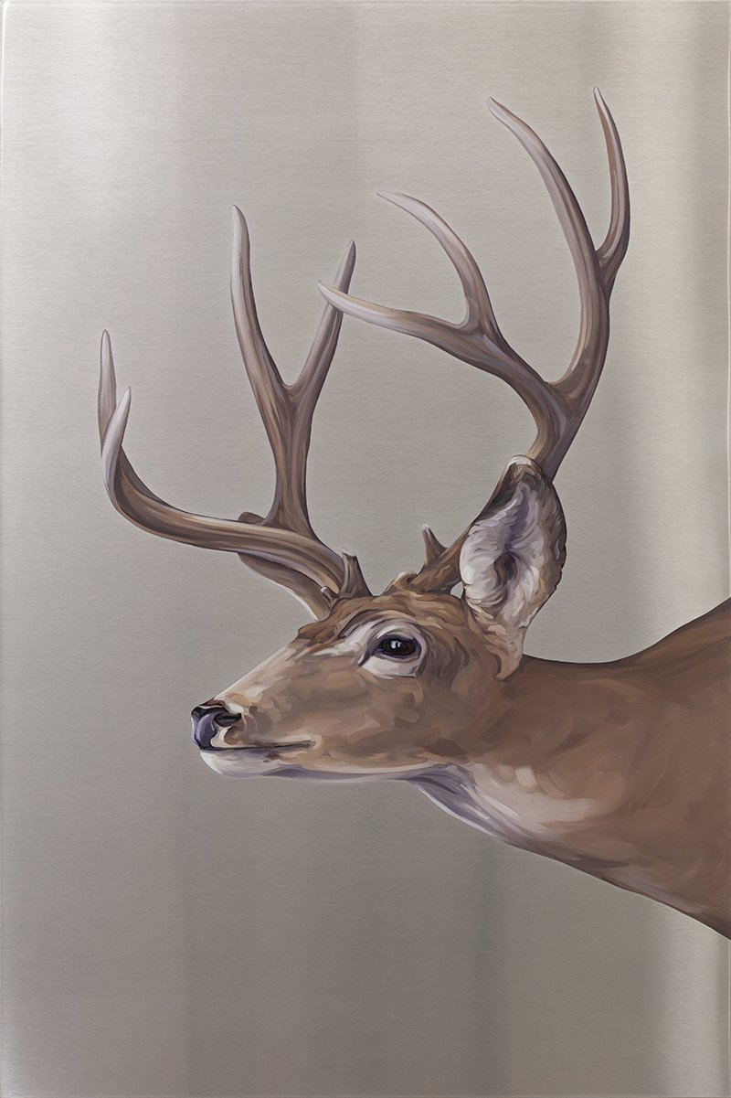  Mule Deer. Oil on stainless steel, 36in x 24in 