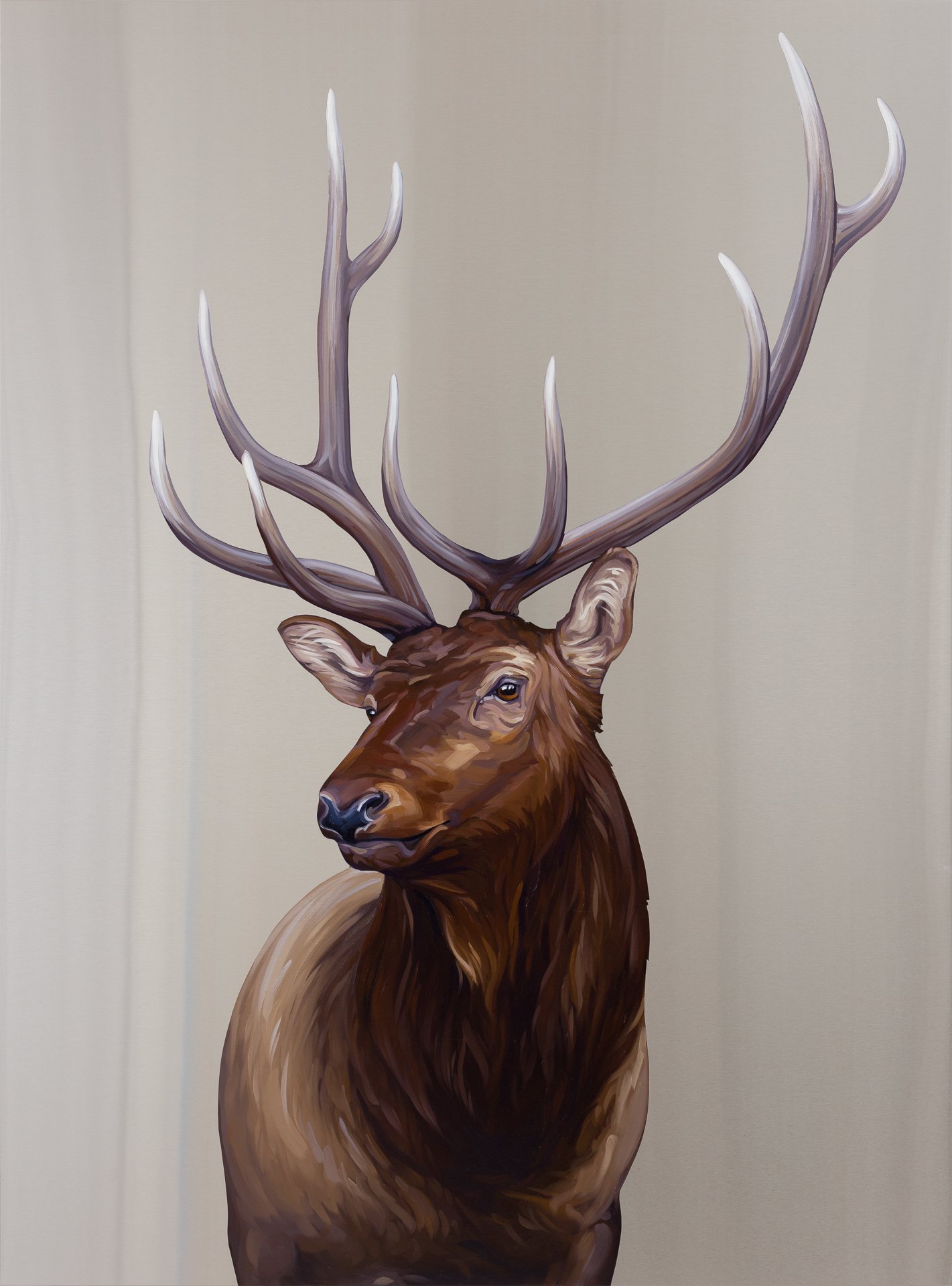  Elk. Oil on stainless steel, 48in x 36in 