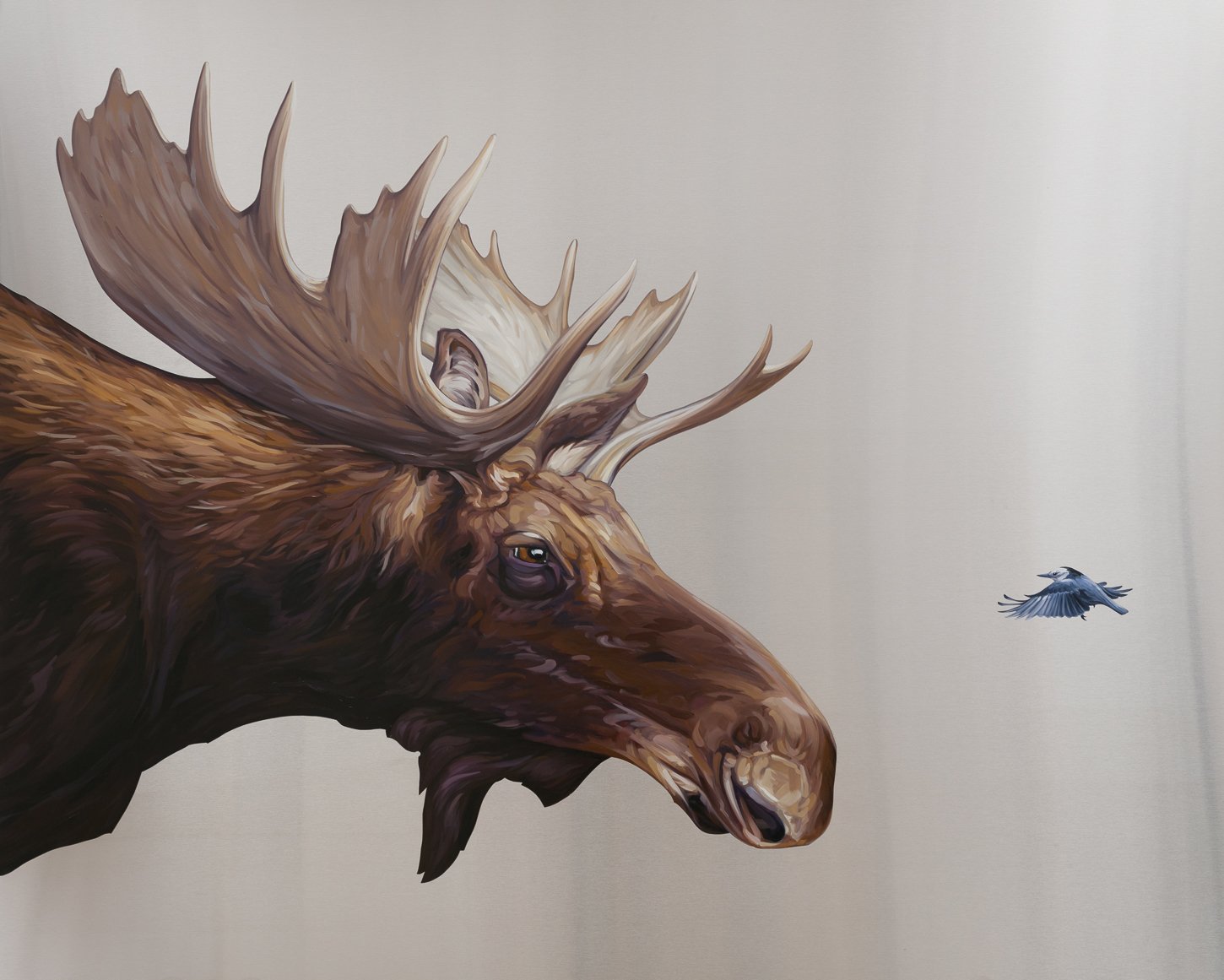  Moose (King of the Forest) with Nuthatch. Oil on stainless steel, 40in x 54in 