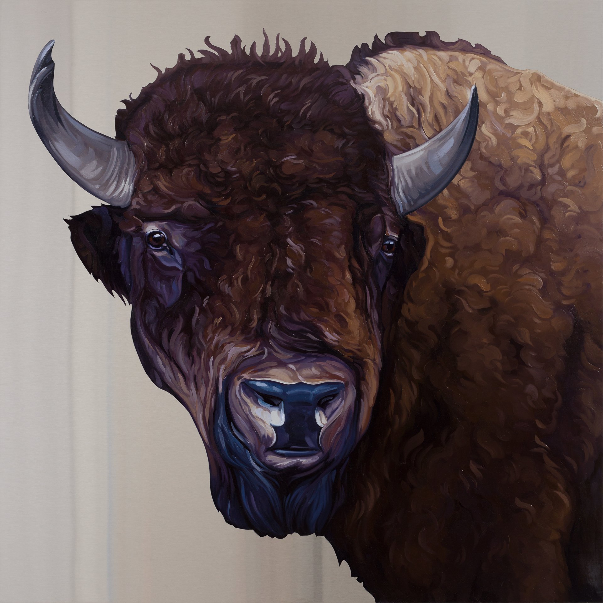  American Buffalo. Oil on stainless steel, 36in x 36in 