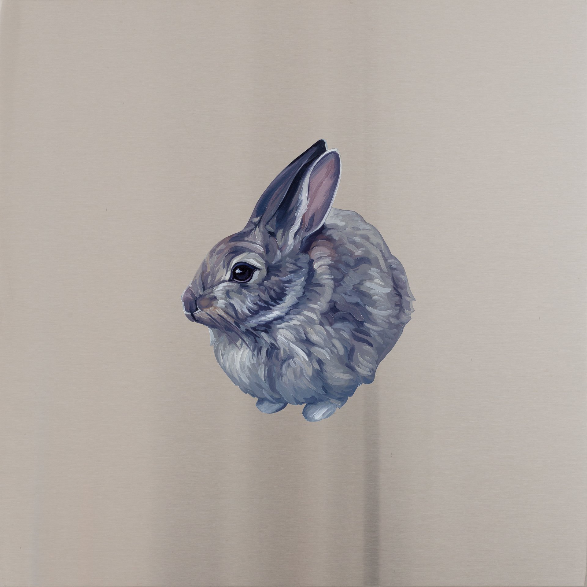 Cottontail Rabbit. Oil on stainless steel, 18in x 18in 
