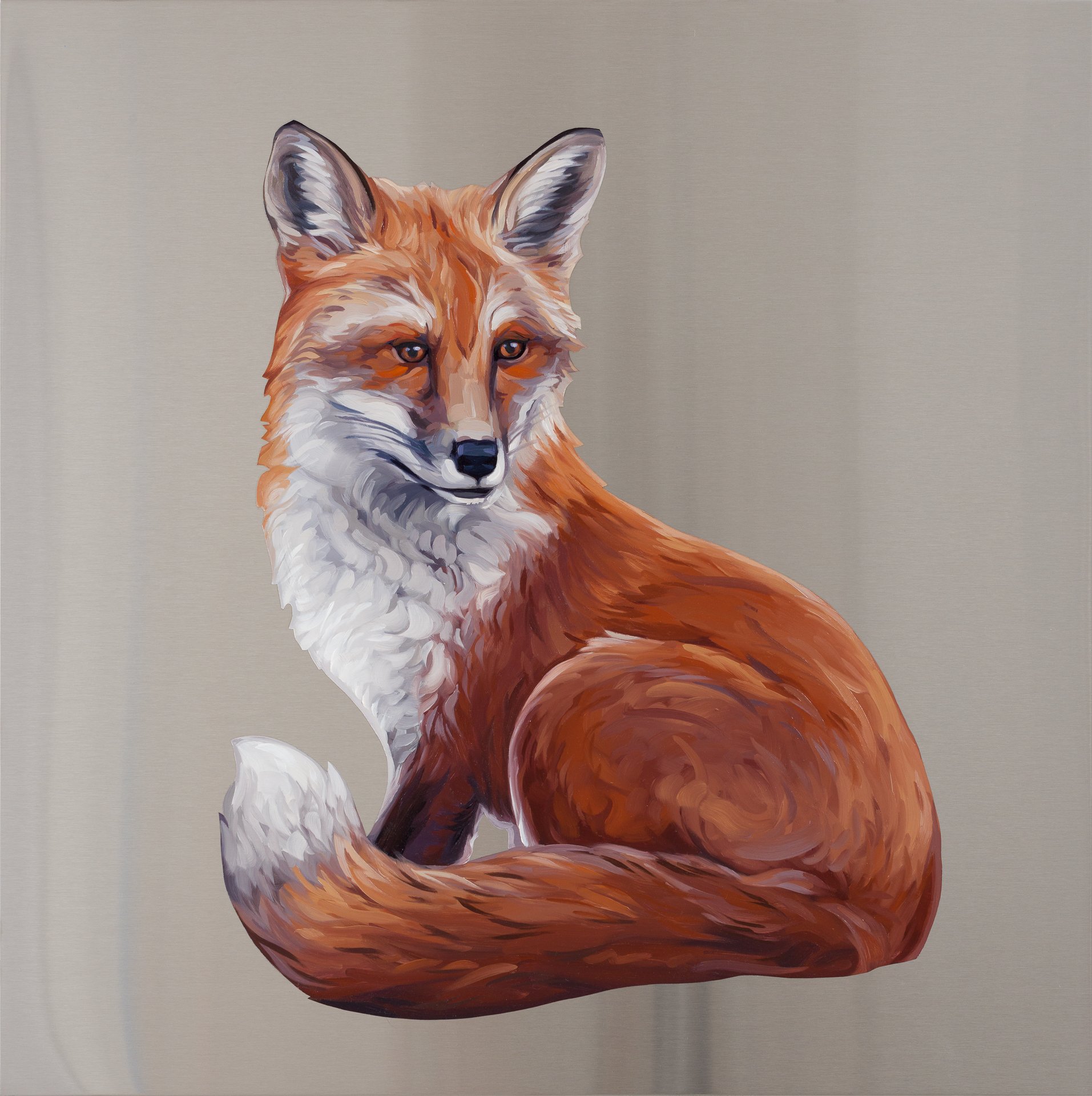  Red Fox. Oil on stainless steel, 24in x 24in 