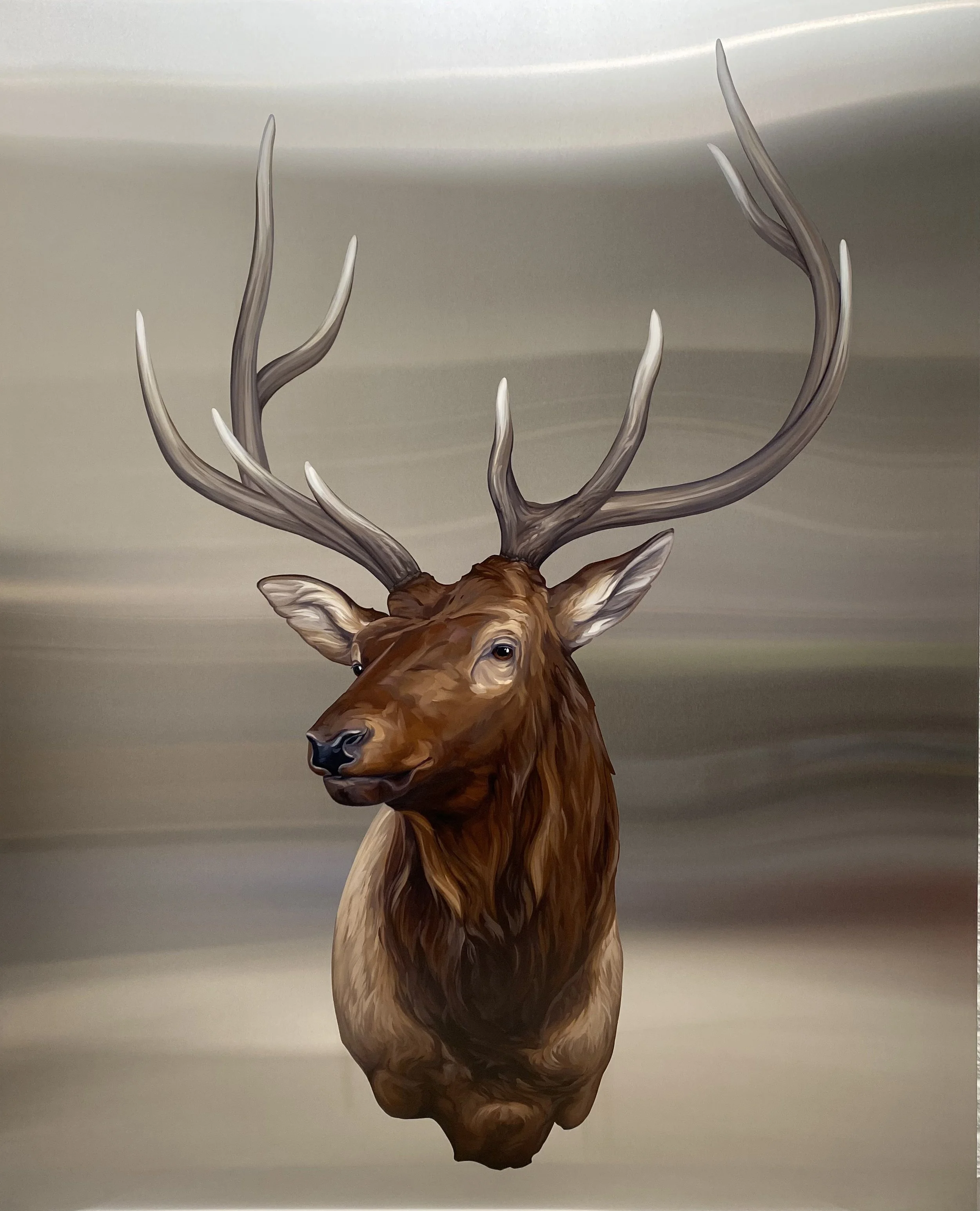 Elk_2.jpg
