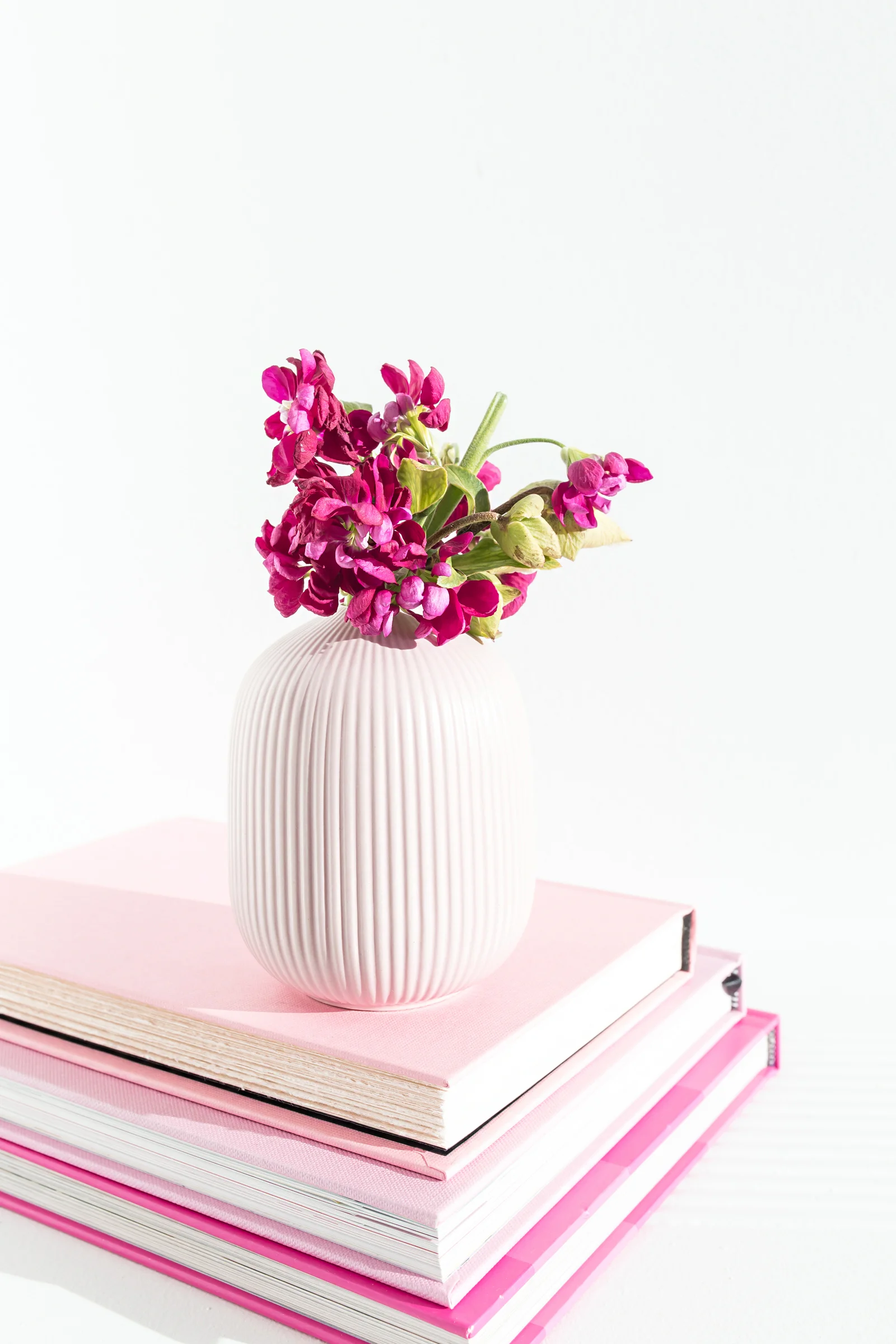 haute-stock-photography-berry-12.jpg