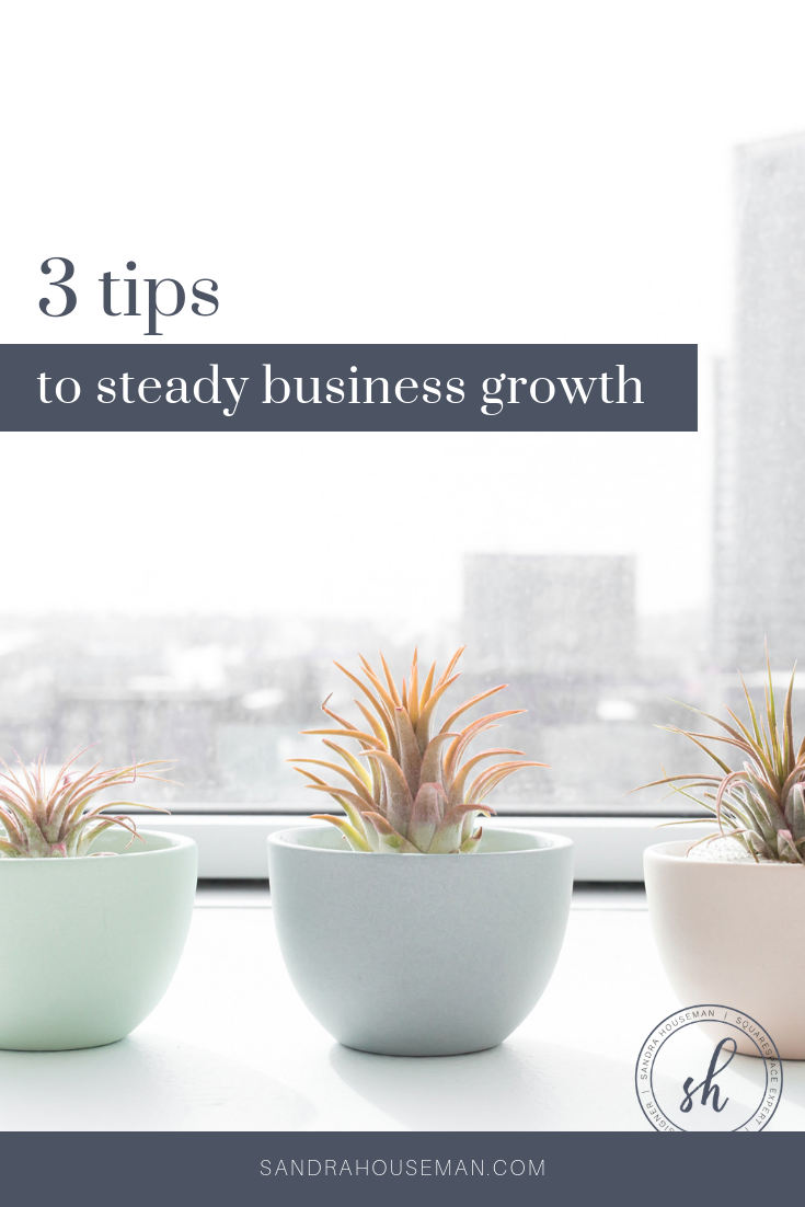 Sandra Houseman_3 tips to steady business growth_Pinterest Blog Image